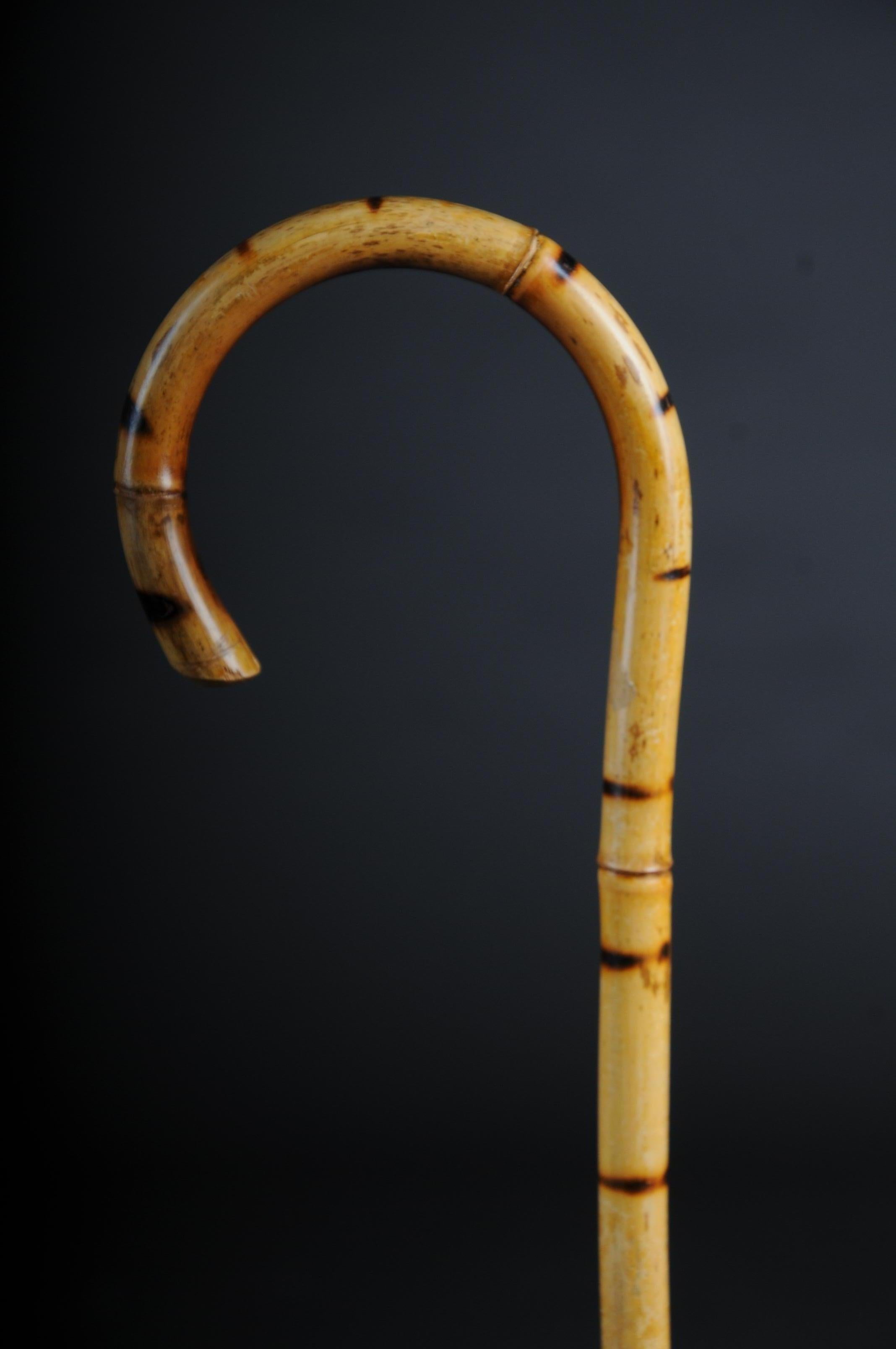 Antique Walking Stick / Cane, Germany with Around 1910 3