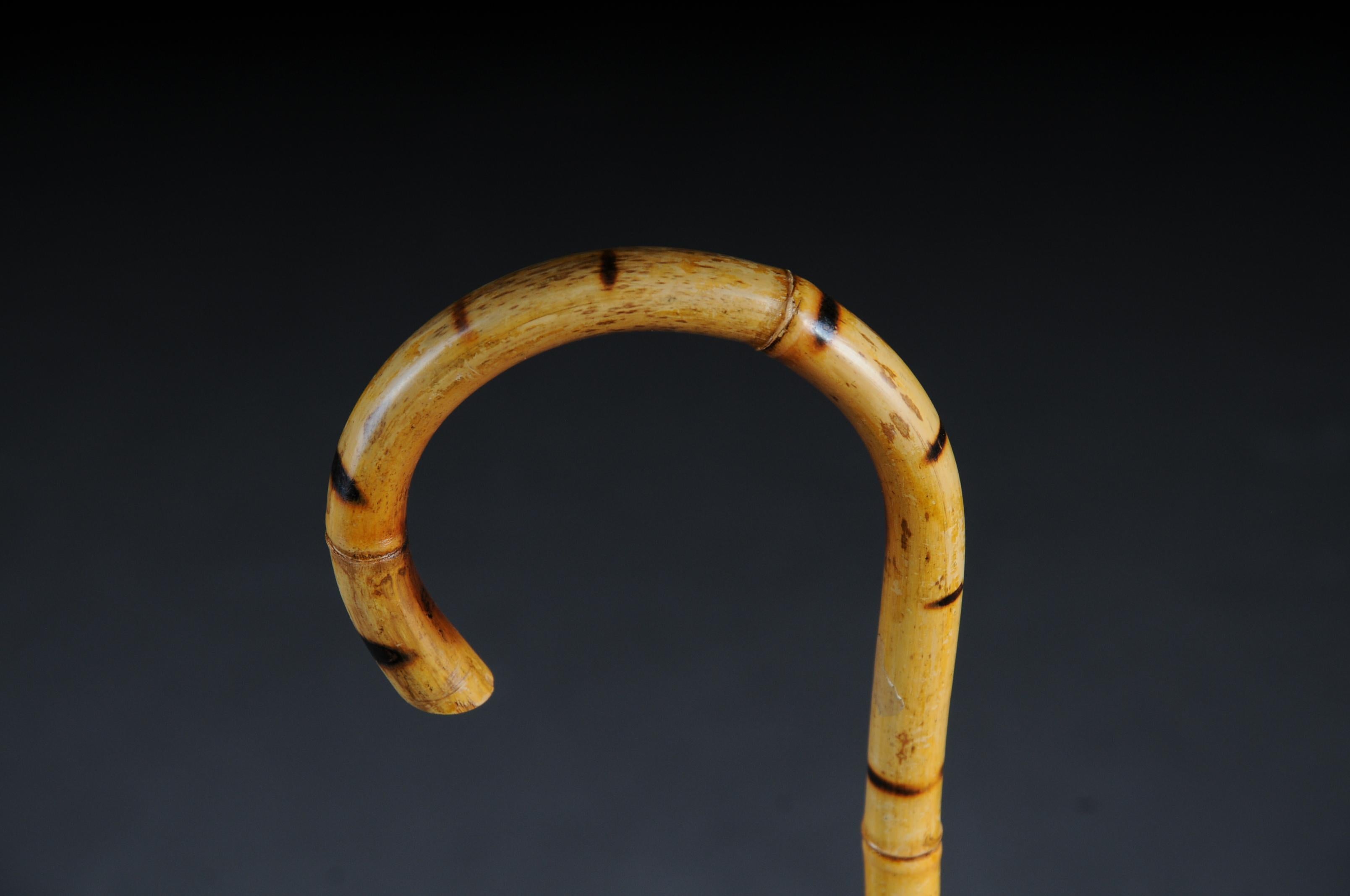 Antique Walking Stick / Cane, Germany with Around 1910 4
