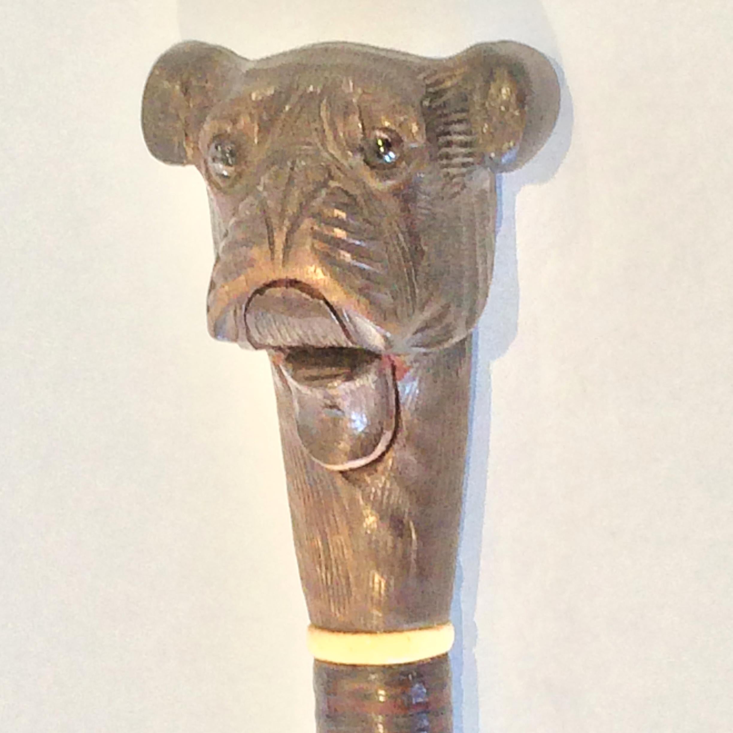 Antique Walking Stick Cane of Dog with Automaton Head and Defense Cane (Französisch) im Angebot