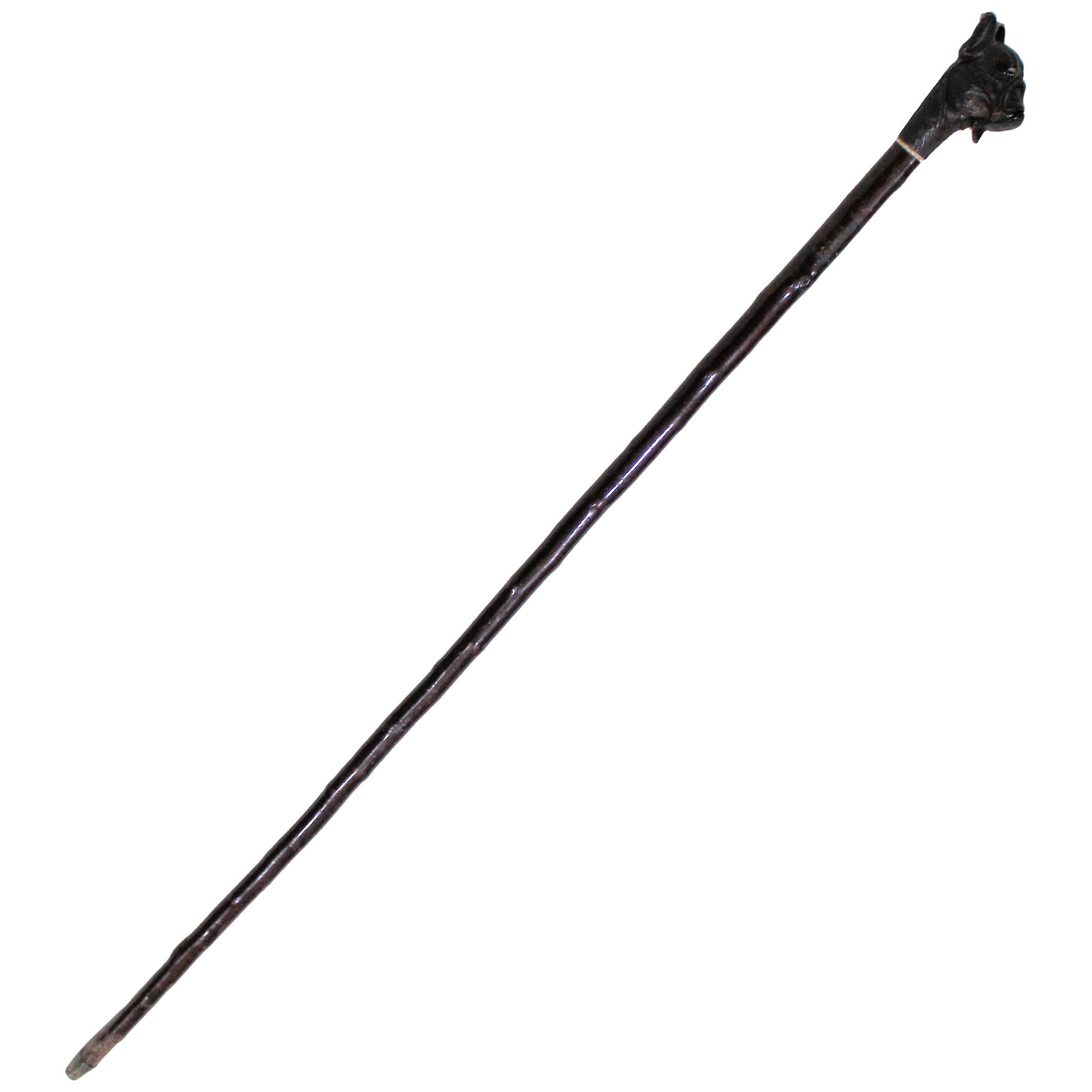 Antique walking stick with an automaton dog head. The handle is a carved bulldog head, finely detailed, having life like glass eyes and an carved bone collar. At the throat, there is a “button” that, when pushed in, drops the dog jaw exposing the