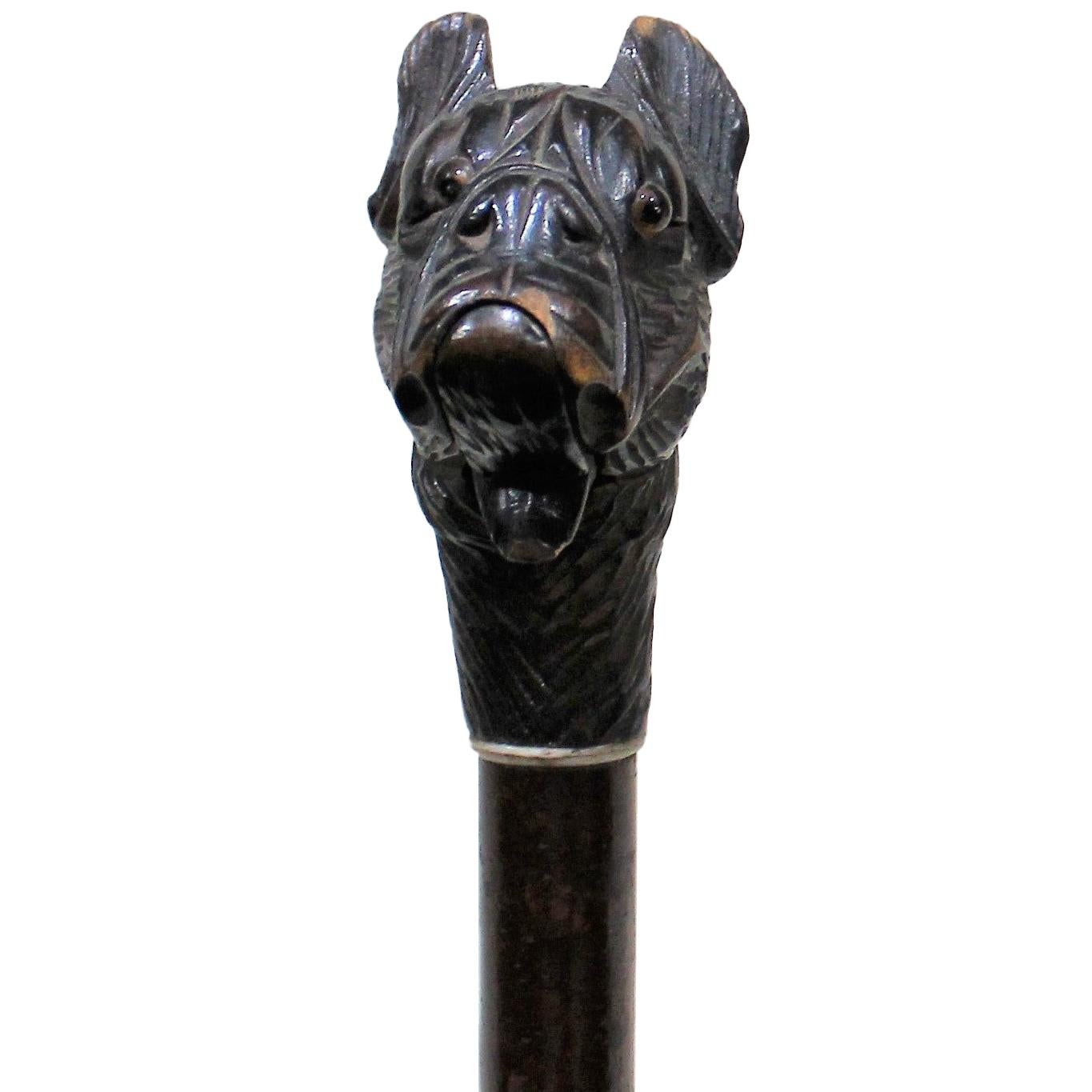 Antique Victorian Walking Stick with Bronze Dog Head Walking Statue handle wand 