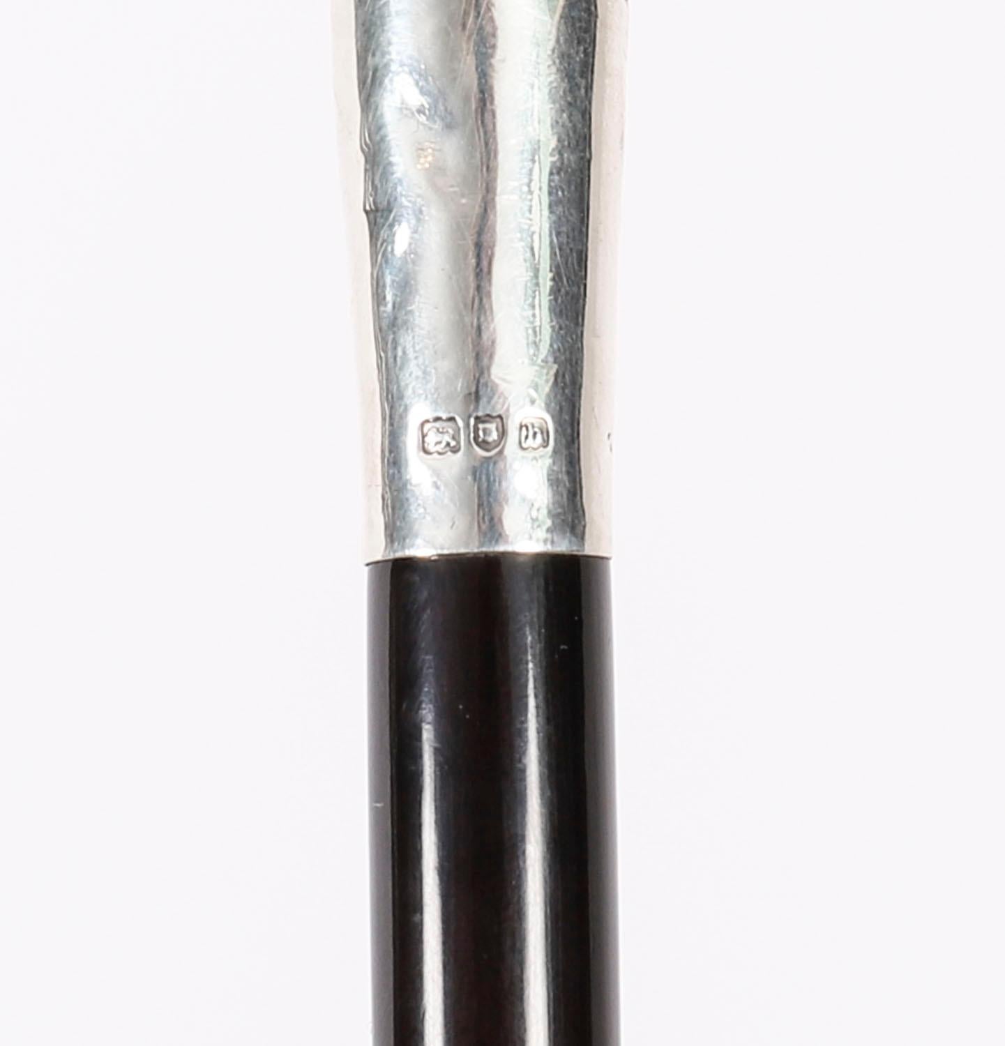 Antique Walking Stick Cane Silver Cockatoo's Head EB, London, 20th Century 8