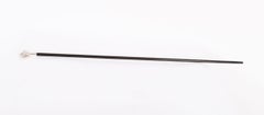 Antique Walking Stick Cane Silver Cockatoo's Head EB, London, 20th Century
