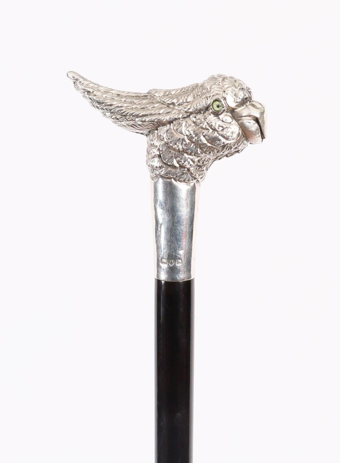 Antique Walking Stick Cane Silver Cockatoo's Head EB, London, 20th Century 2