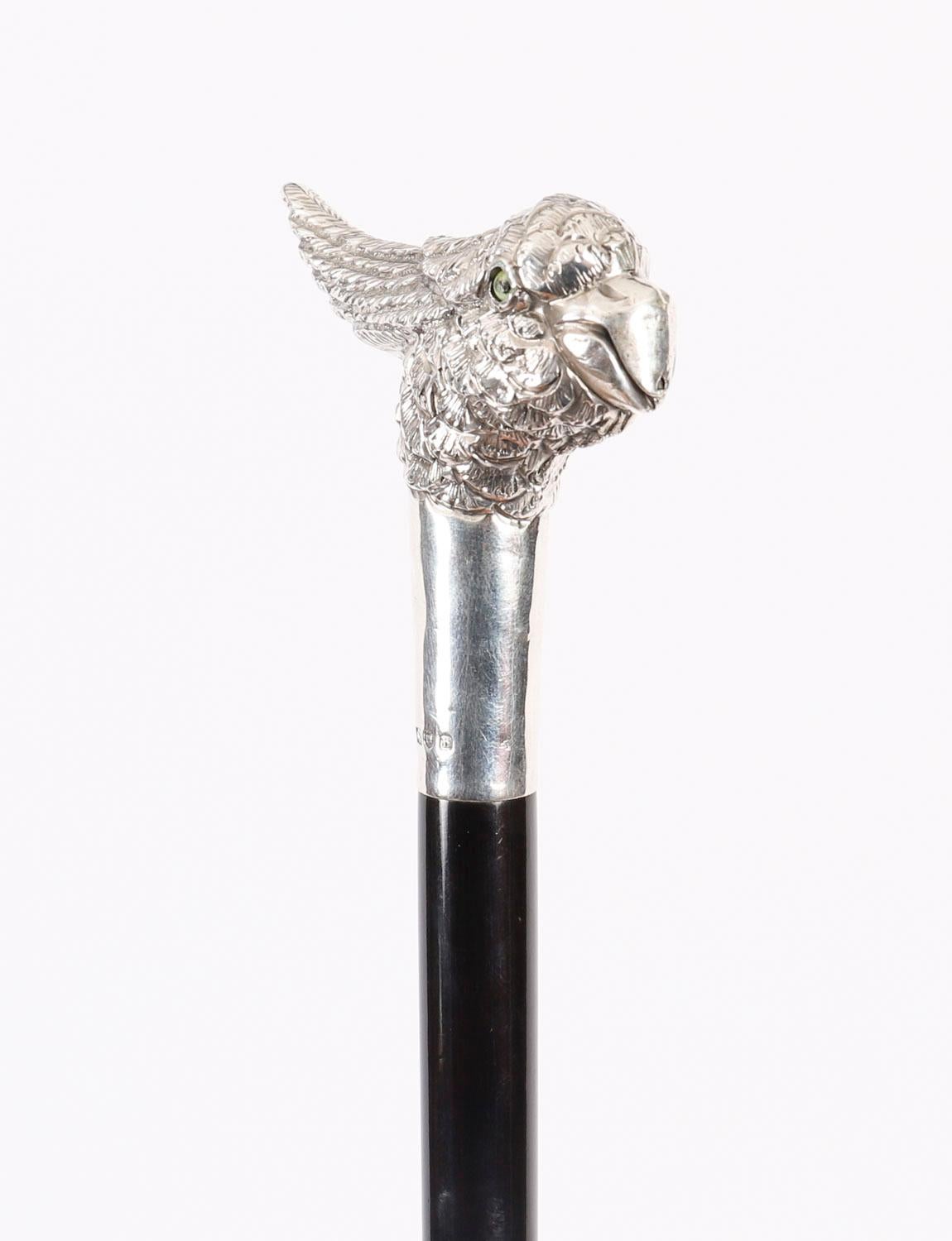 Antique Walking Stick Cane Silver Cockatoo's Head EB, London, 20th Century 3