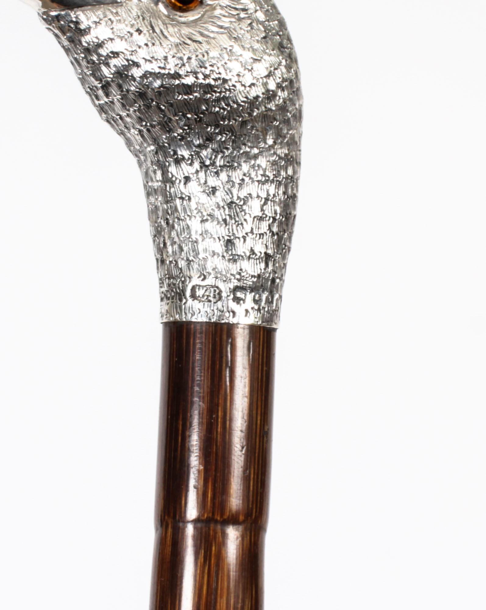 Antique Walking Stick Cane Silver Duck Head Handle Ben Cox of London 1897 3