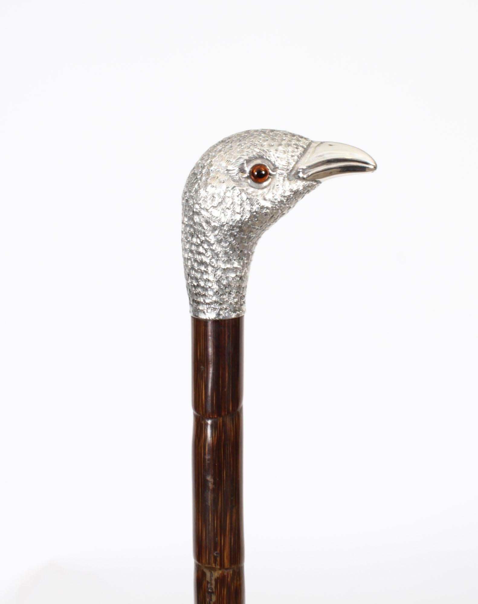 Antique Walking Stick Cane Silver Duck Head Handle Ben Cox of London 1897 4