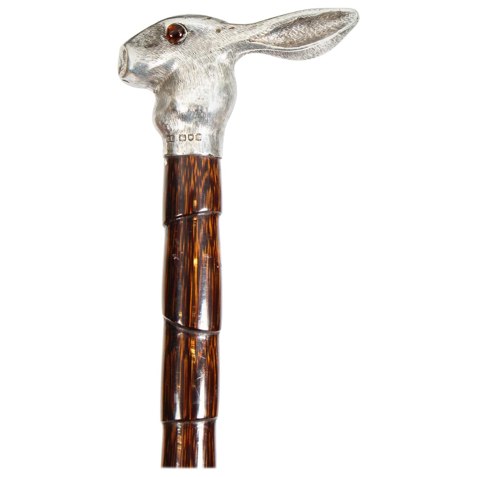 Antique Walking Stick Cane Silver Hare's Head Pommel by Brigg of London, 1902