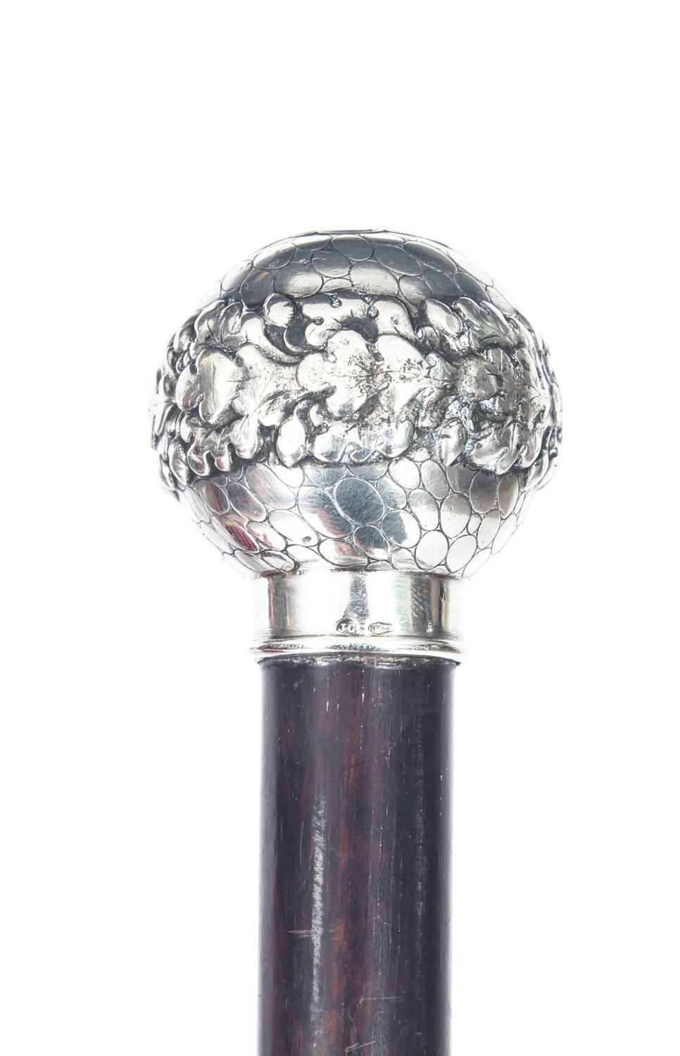 Antique Walking Stick Cane Silver Pommel 19th Century 6