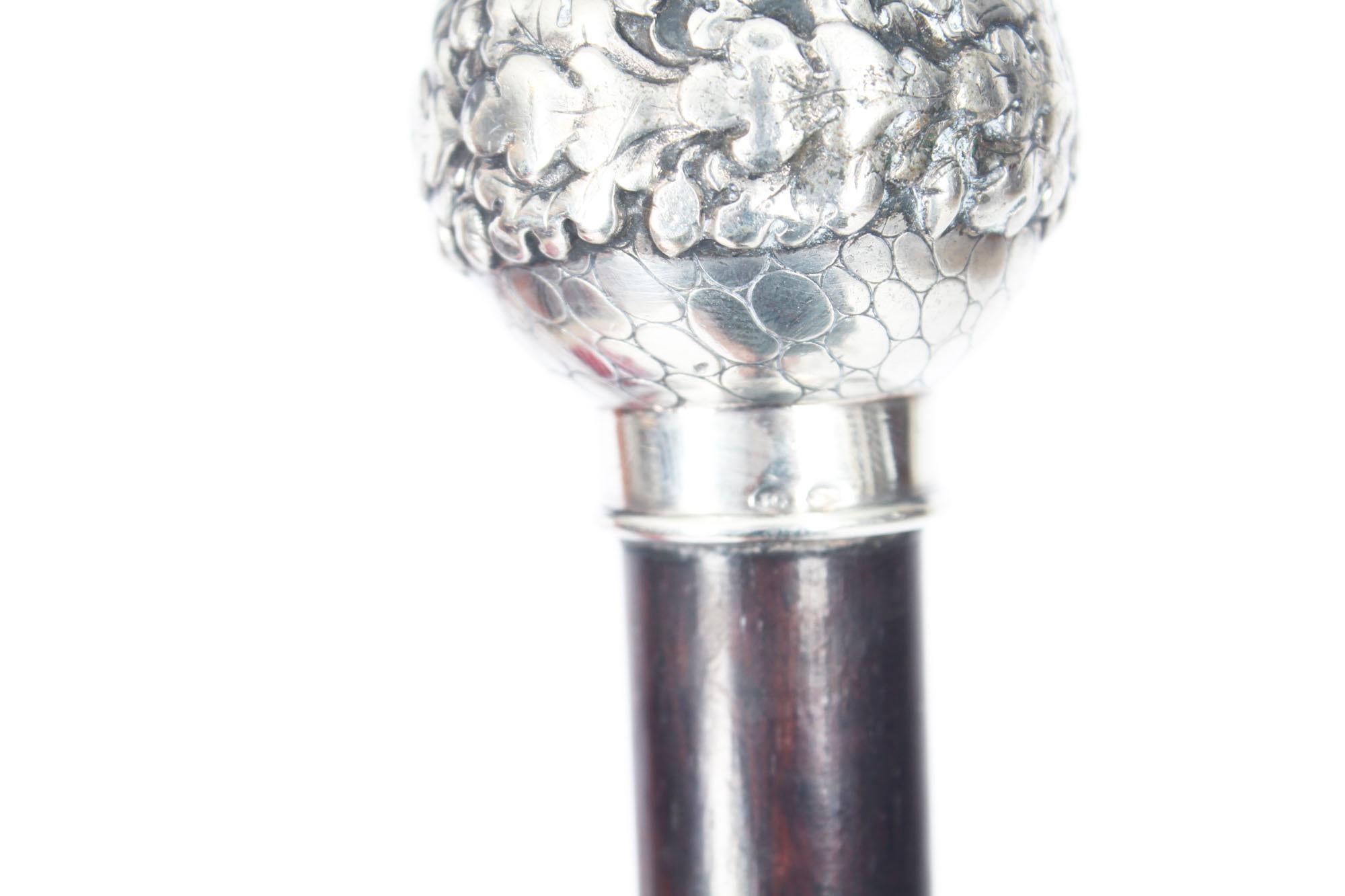 Late 19th Century Antique Walking Stick Cane Silver Pommel 19th Century