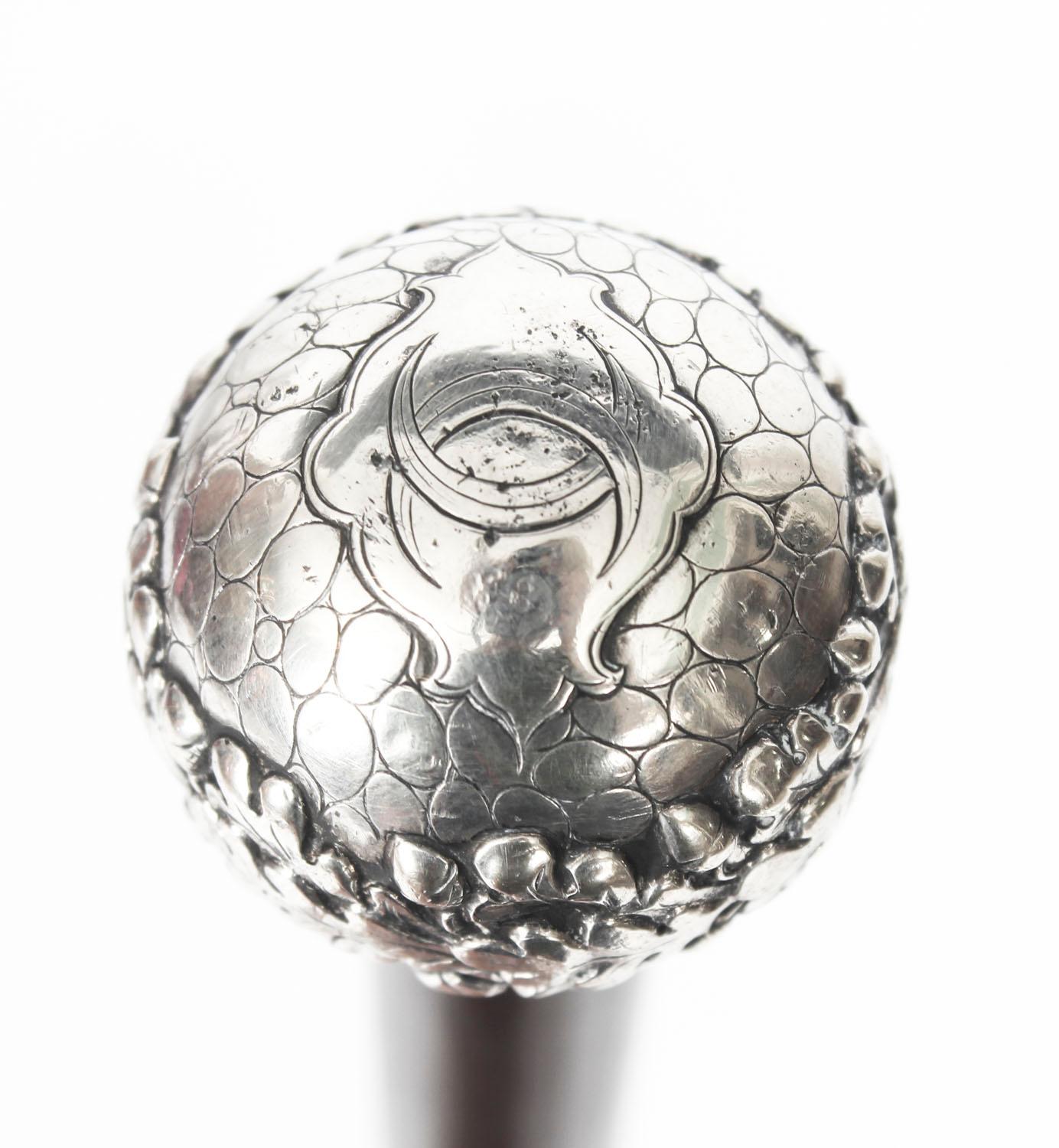 Antique Walking Stick Cane Silver Pommel 19th Century 2