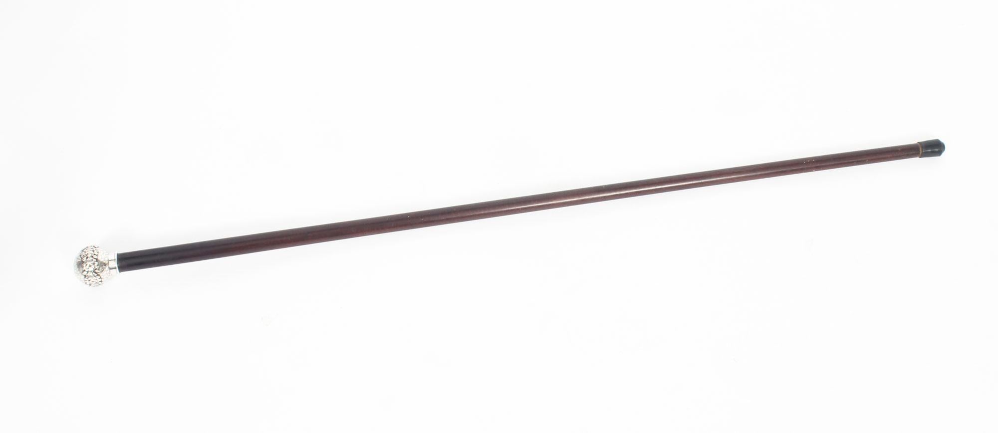 Antique Walking Stick Cane Silver Pommel 19th Century 3