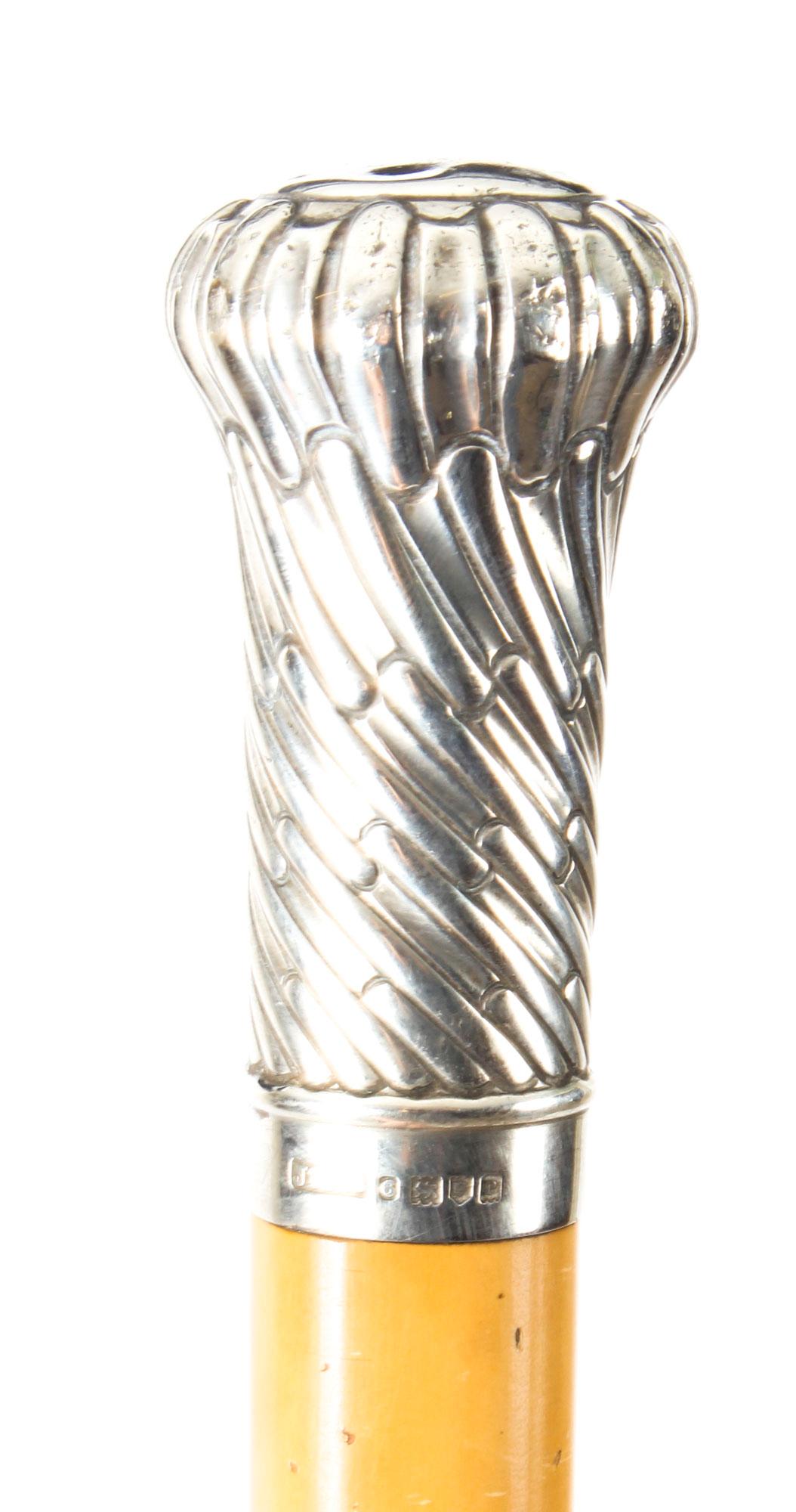 This is a superb sterling silver mounted Malacca gentleman's walking stick with hallmarks for London 1910.

It features a globular sterling silver pommel cast with a twisted scalloped zigzag.

The Malacca shaft is complete with its original horn