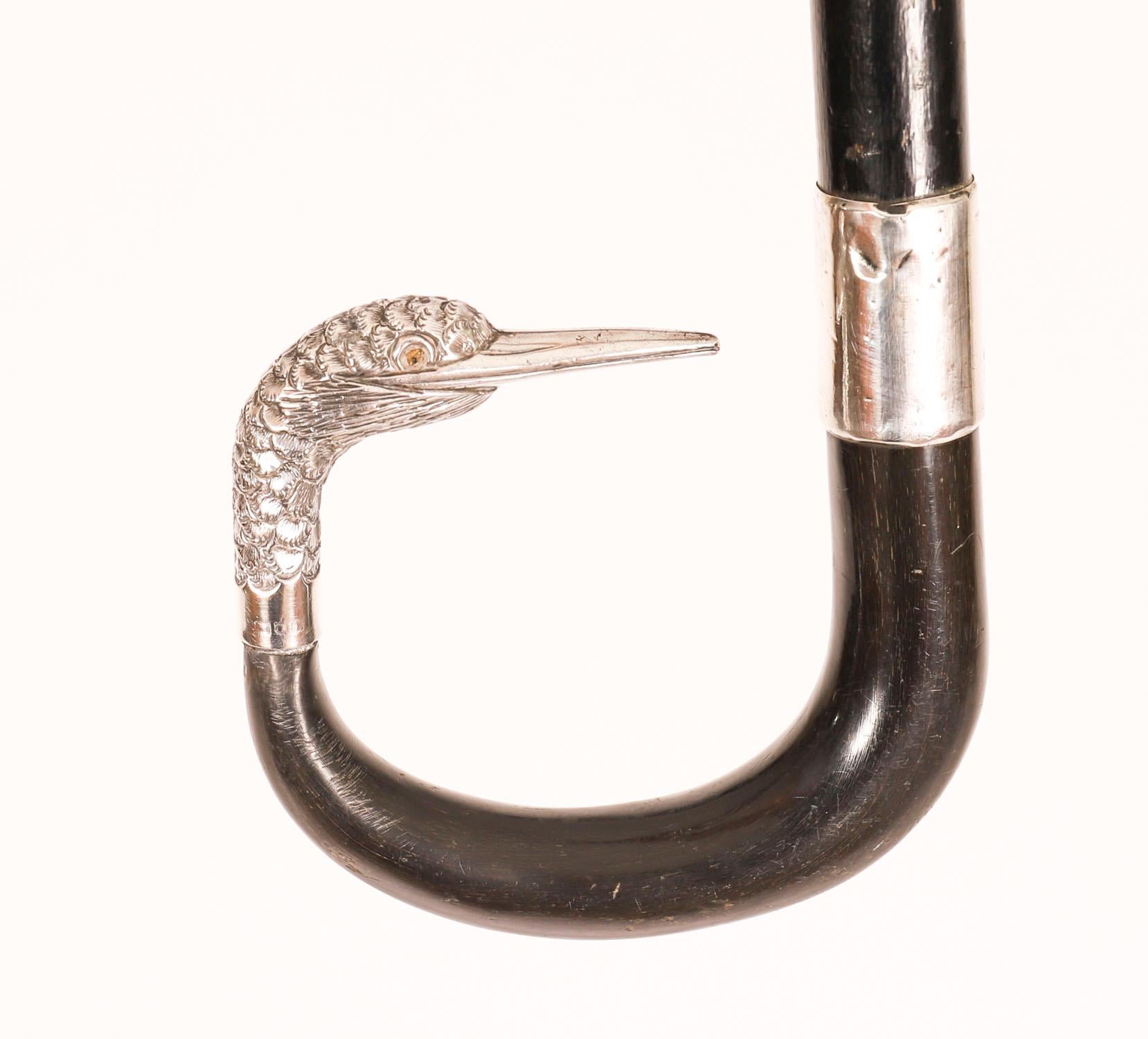 Antique Walking Stick Cane Sterling Silver Duck Head 20th Century For Sale 4