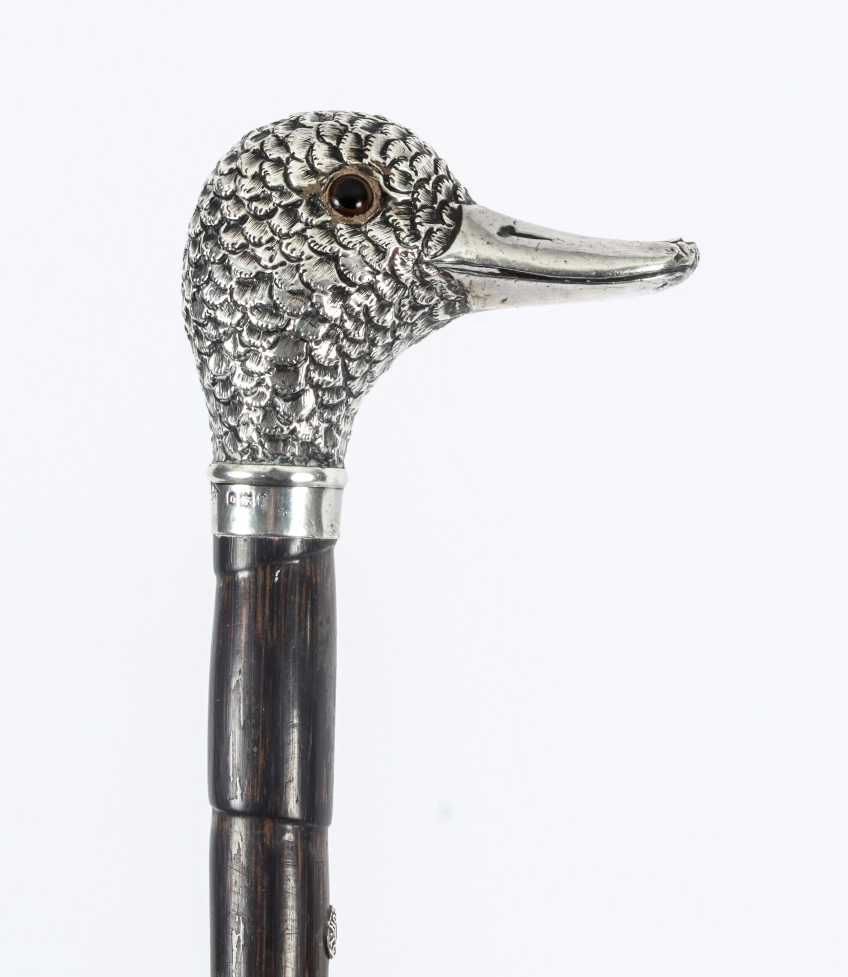 This is a beautiful Antique English sterling silver duck head handle walking stick bearing the makers mark for TJD Birmingham, hallmarks for 1938. and retailed by Howell London. 

This charming walking cane features a finely cast sterling silver