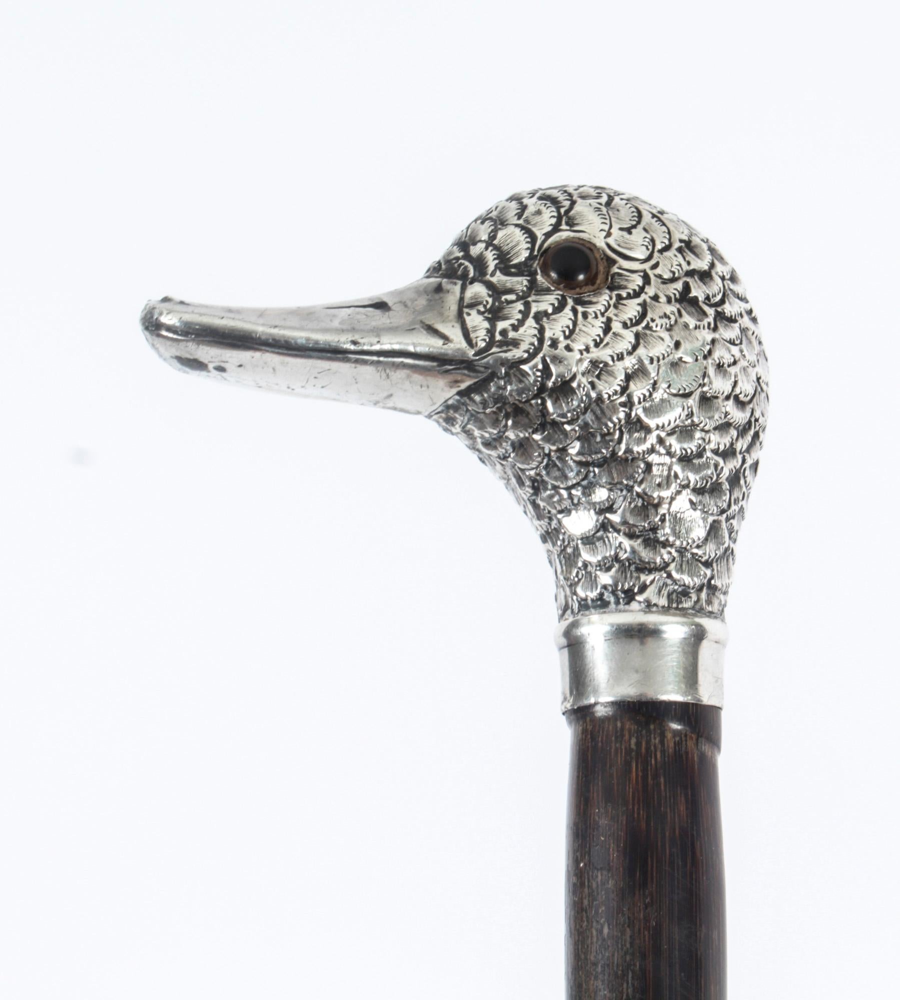 duck head cane