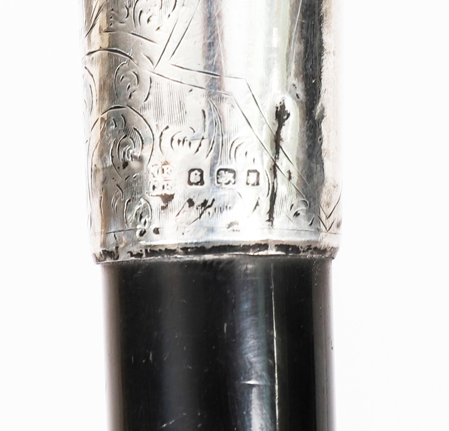 Canne ancienne en argent A Silver Tête de Héron 20ème siècle 3