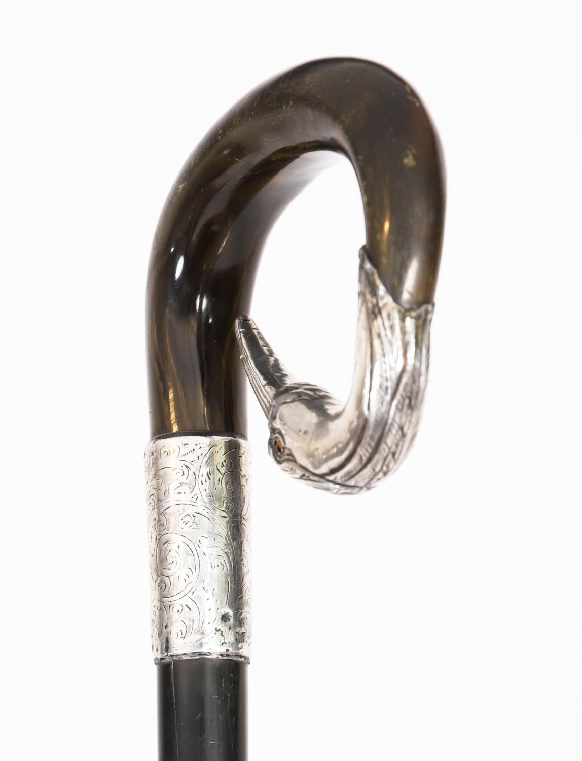 Argent sterling Canne ancienne en argent A Silver Tête de Héron 20ème siècle