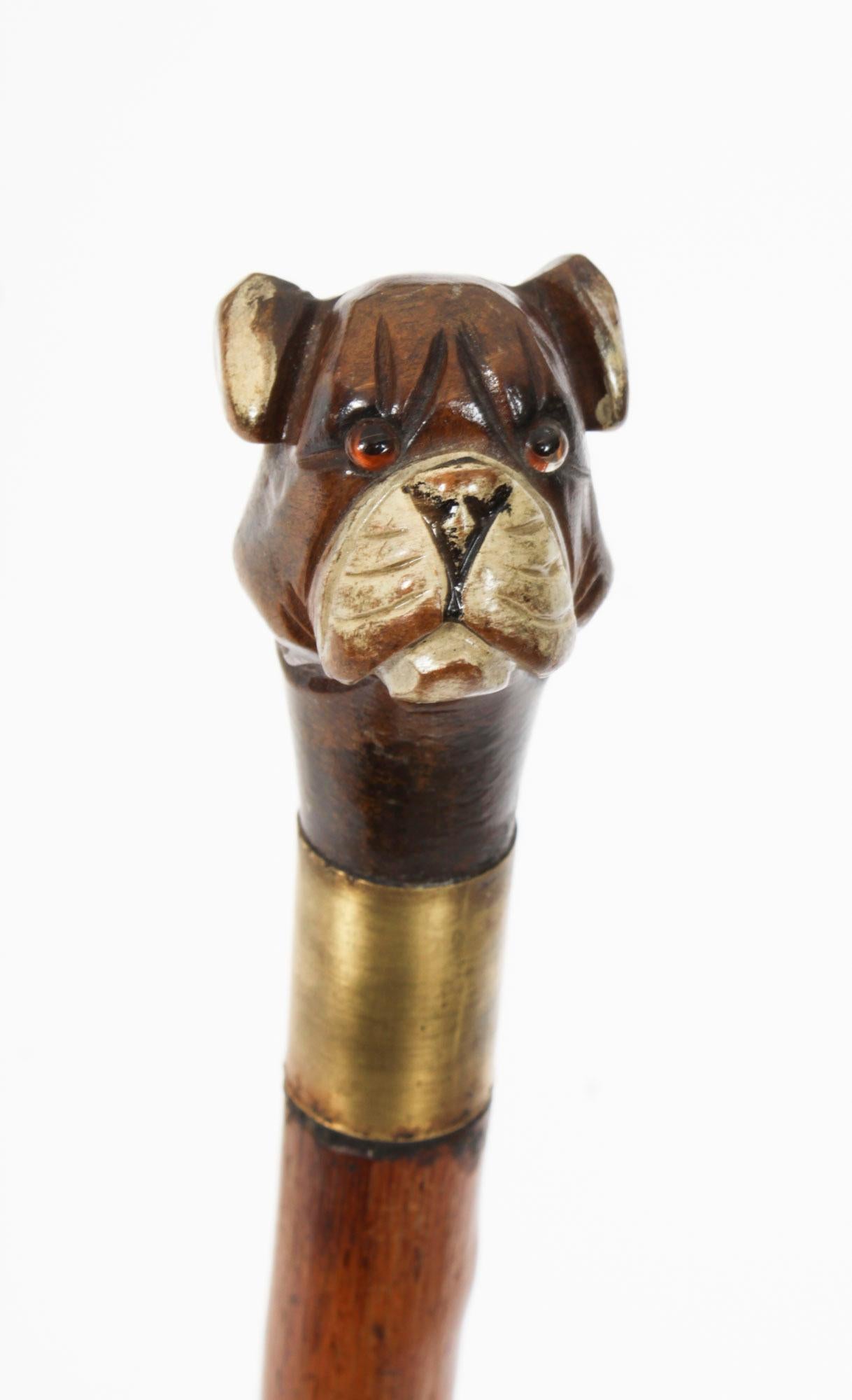 This is a superb antique hawthorn wood walking stick in a form of a painted carved bulldog with glass eyes, late 19th century in date.
 
This decorative walking cane features tapering shaft and and is complete with it's original brass ferrule . 
