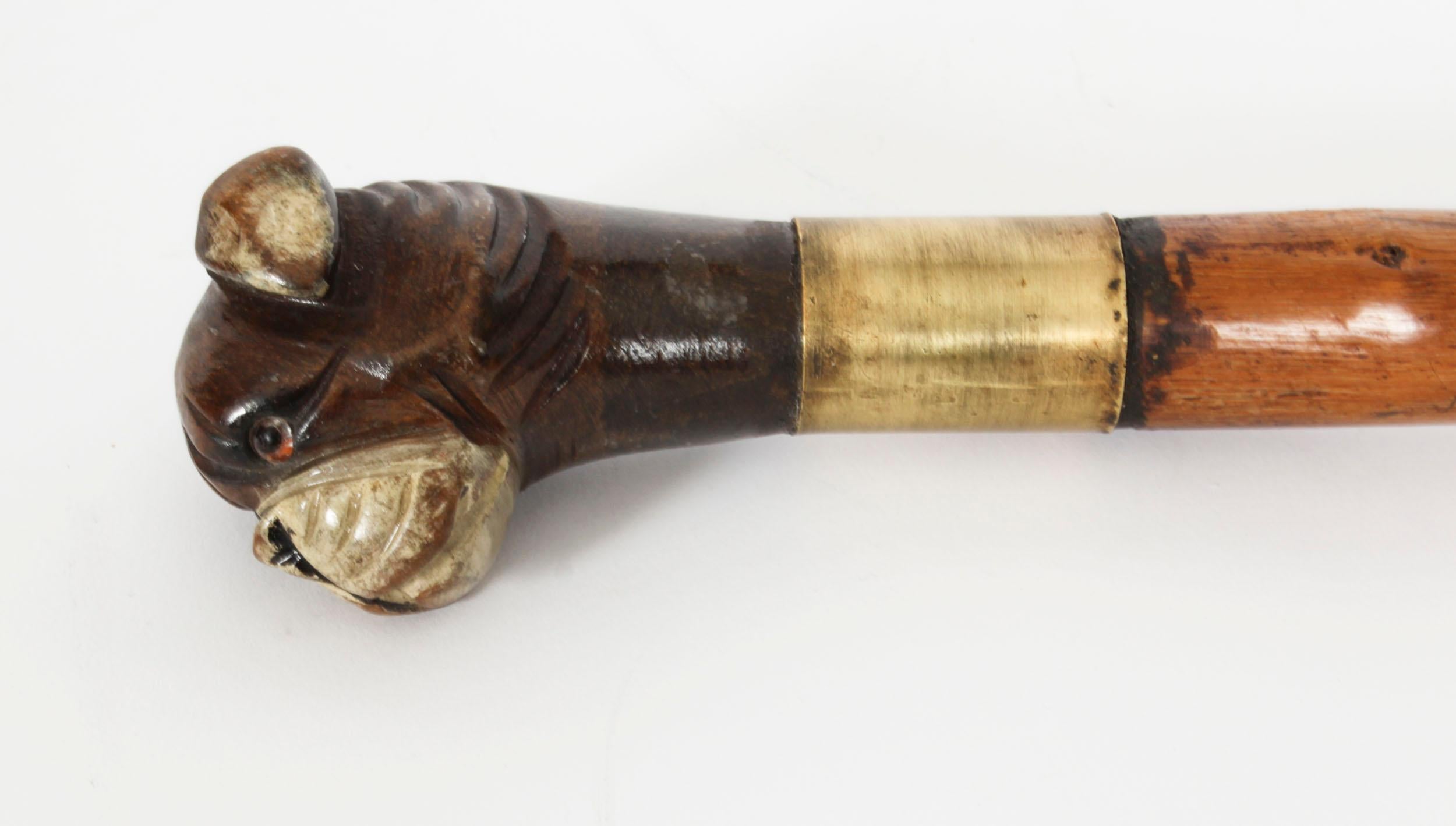 Antique Walking Stick Cane with Carved Bulldog Handle Late 19th Century 1