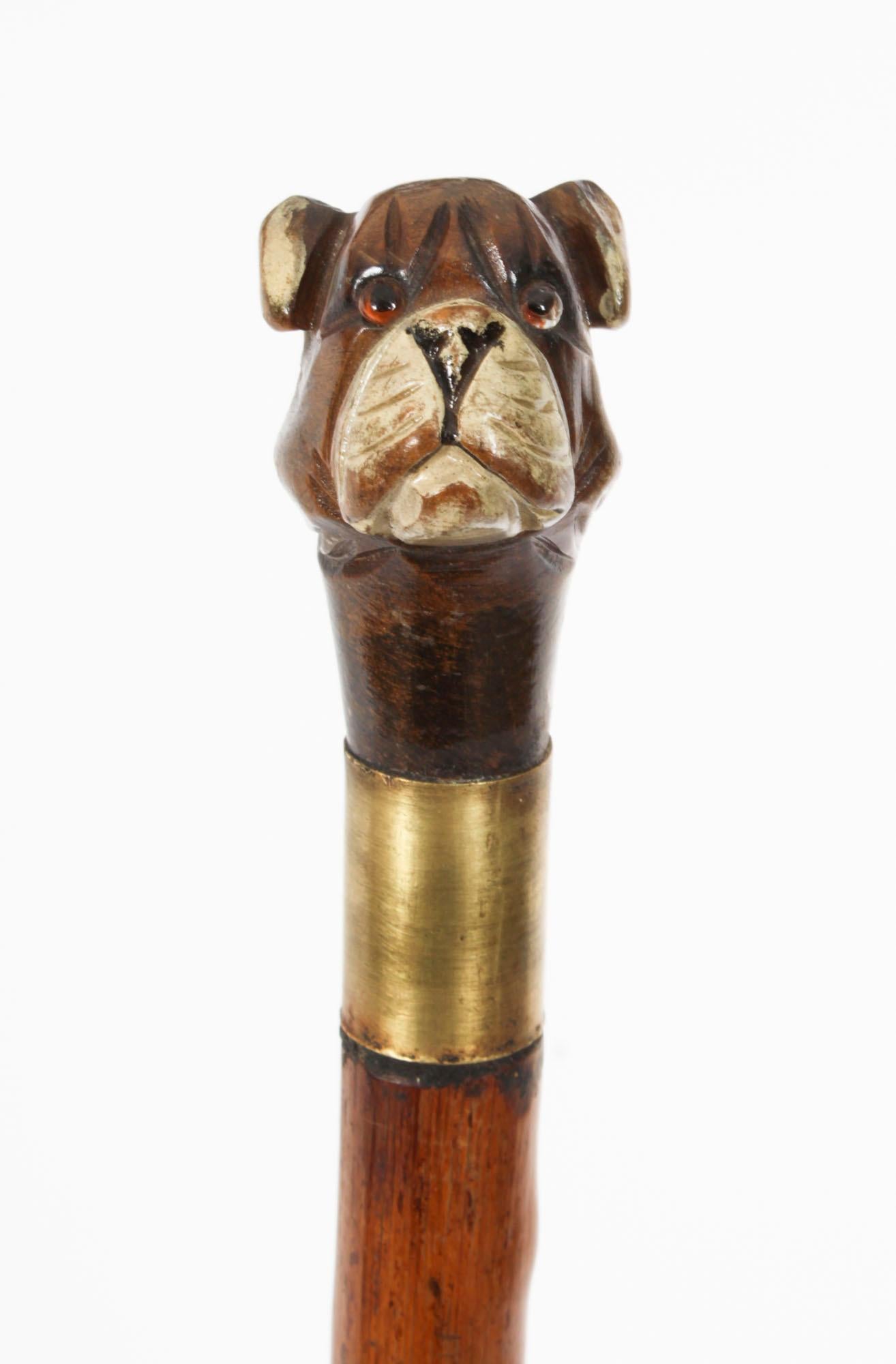 Antique Walking Stick Cane with Carved Bulldog Handle Late 19th Century 3