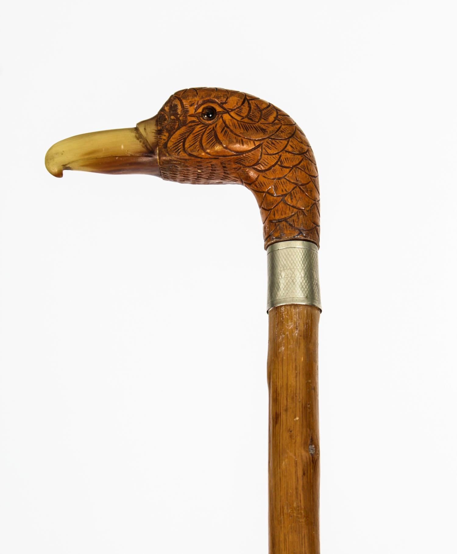 This is a beautiful antique English carved duck head handle walking stick, circa 1880 in date.
 
This charming walking cane features a splendid carved walnut duck head handle with detailed feathers, a horned bill and glass eyes with a silver band