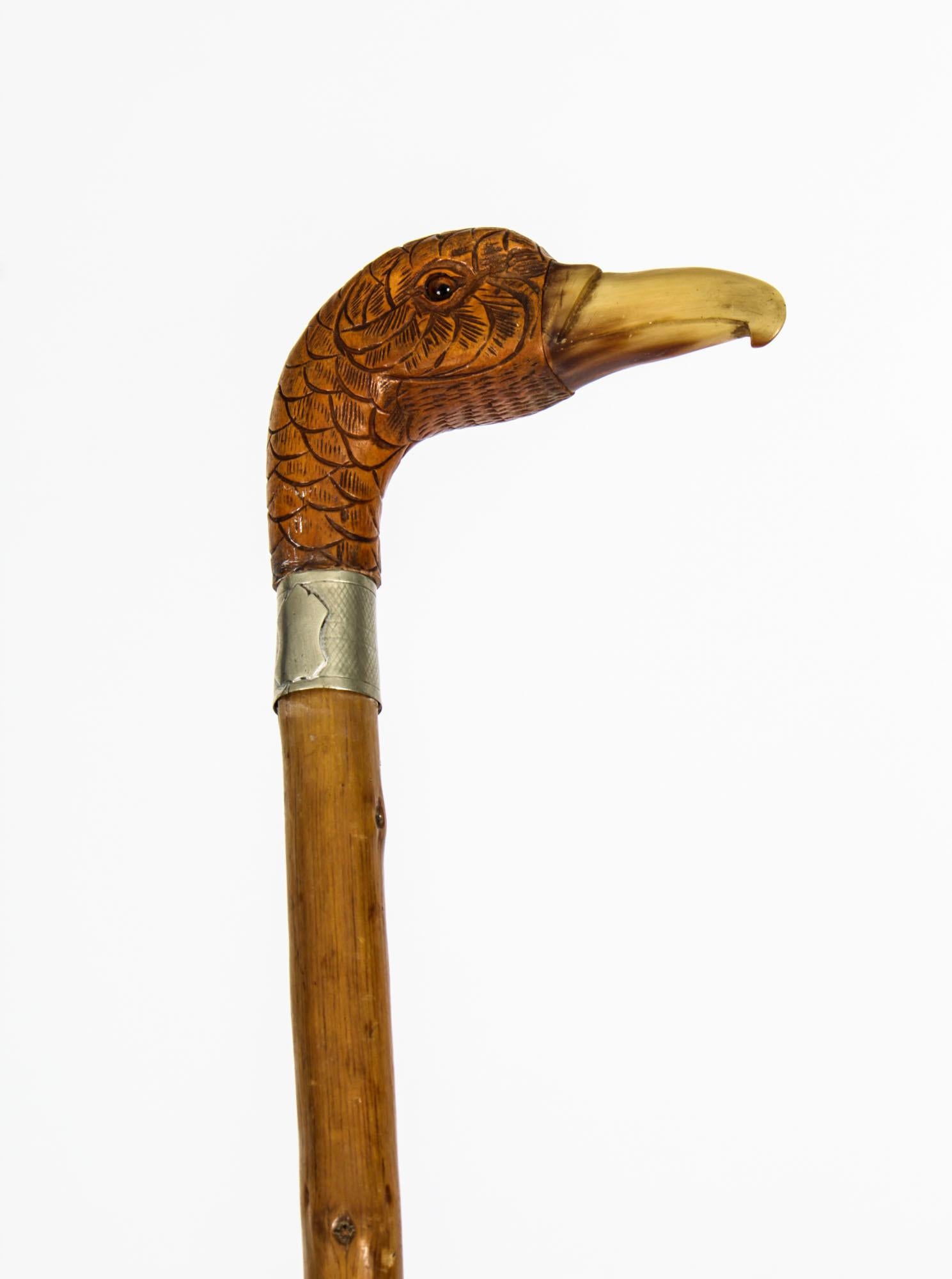 duck cane