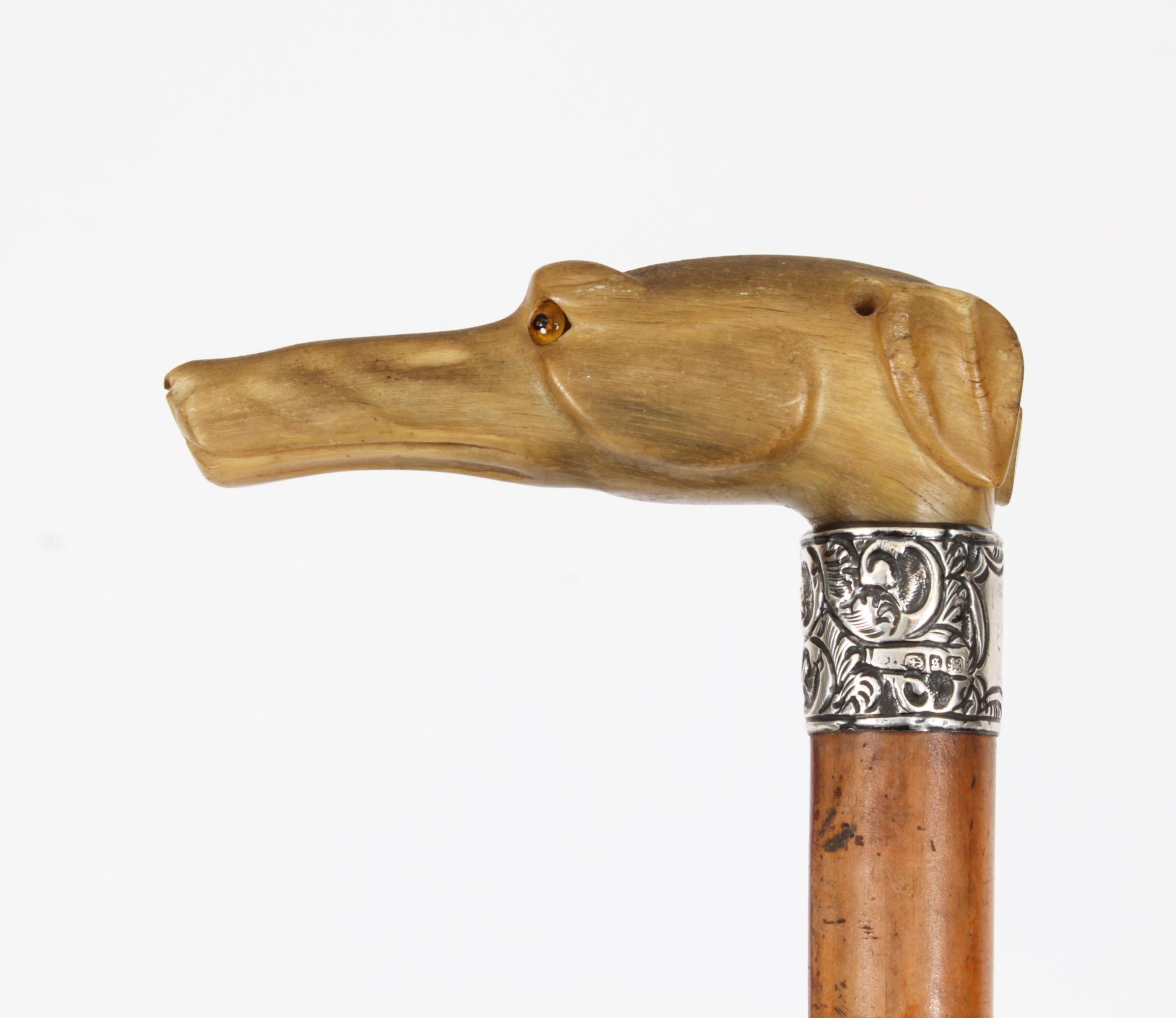 Antique Walking Stick Cane with Carved Greyhound Handle Dated 1874s For Sale 6