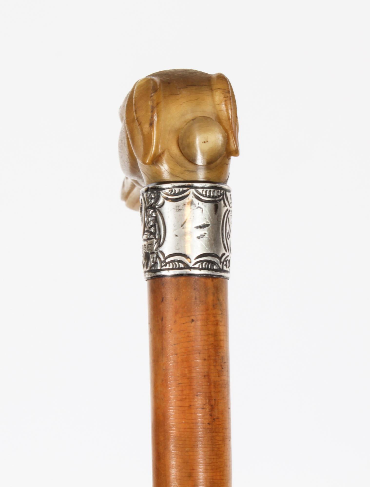 Silver Antique Walking Stick Cane with Carved Greyhound Handle Dated 1874s For Sale