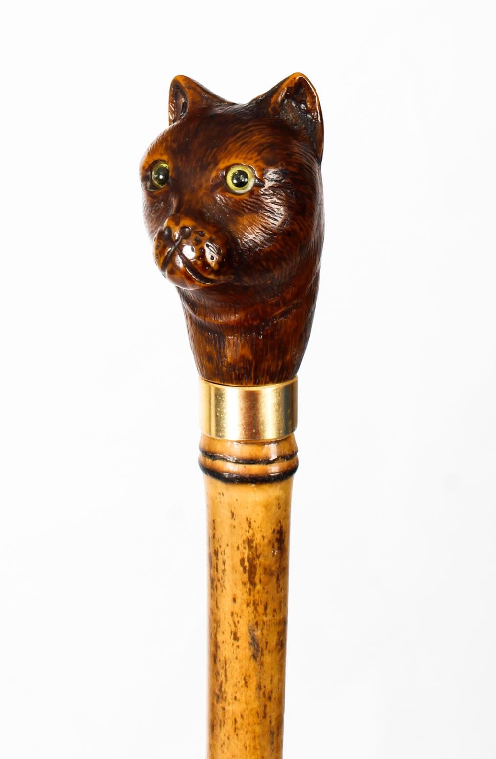 This is an exquisite antique novelty decorative walking cane, with a superbly carved cat's head handle, dating from the late 19th century.

The wonderful handle has finely carved details and features two lovely glass eyes. 
 
It has an elegant