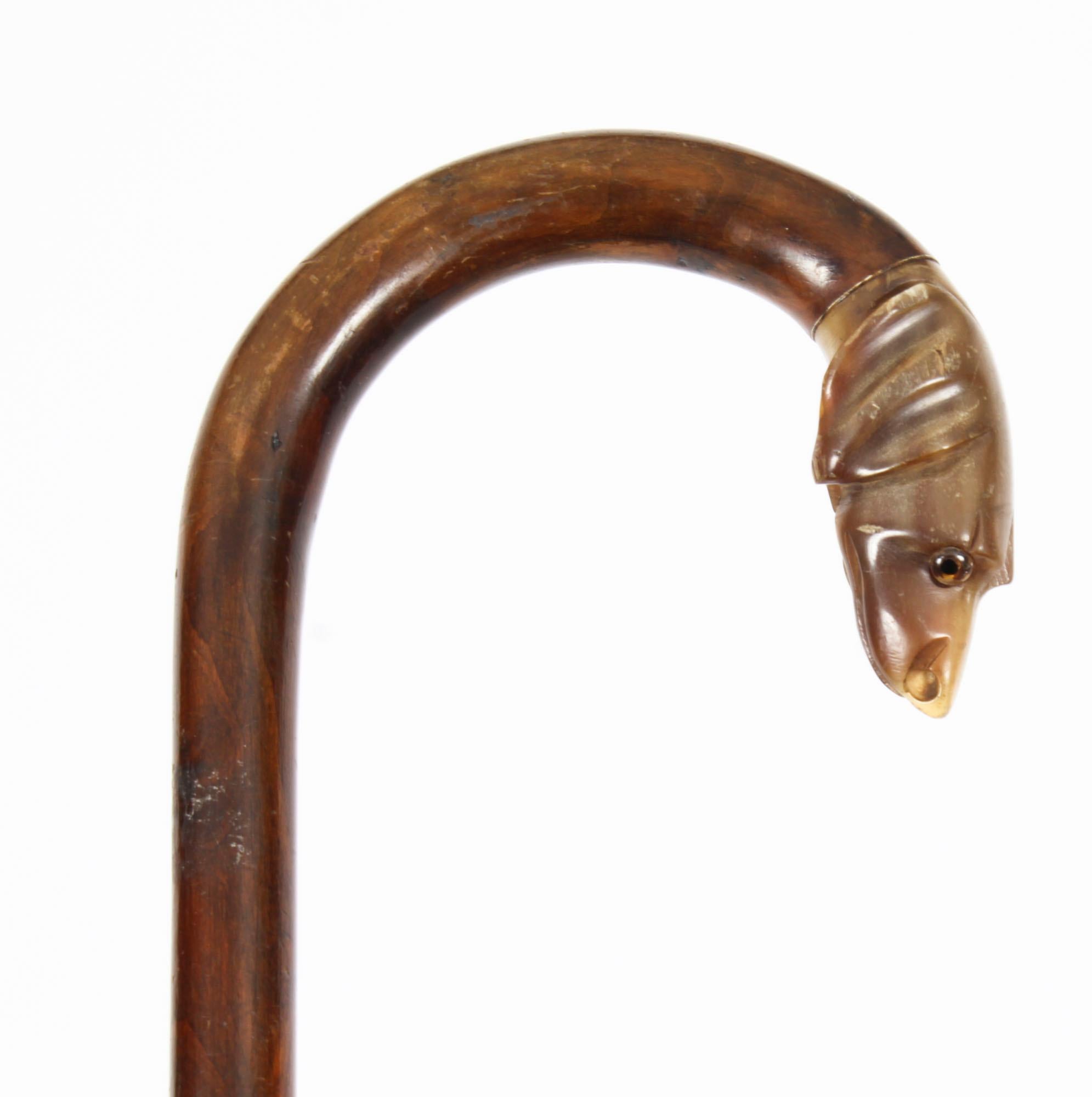 This is a superb antique malacca walking stick with a horn handle carved in a form of a dogs head with glass eyes, late 19th century in date.
 
This decorative walking cane features a horn handle with tapering shaft and and is complete with it's