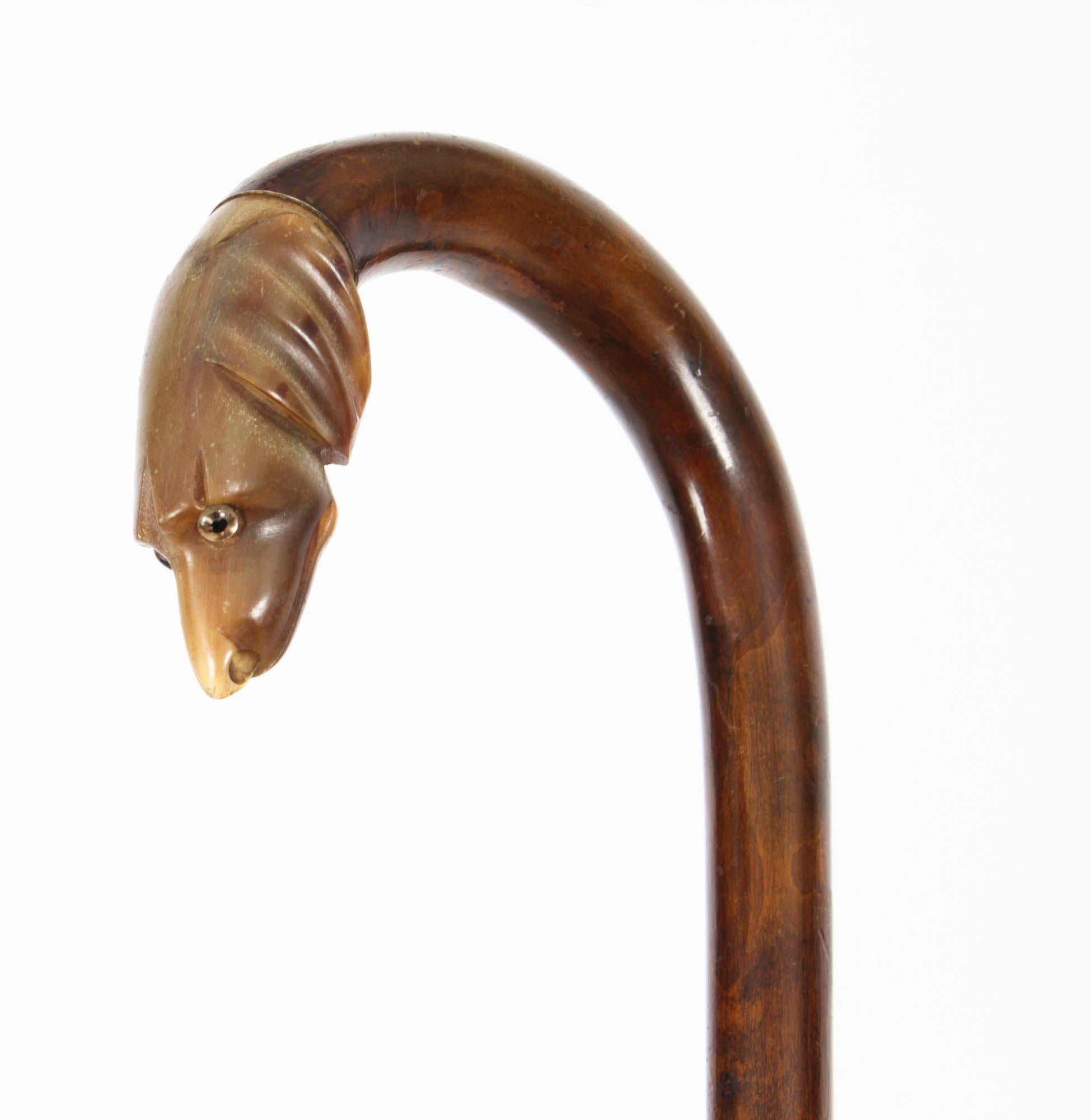 Antique Walking Stick Cane with Horn Dog Handle, Late 19th Century In Good Condition In London, GB
