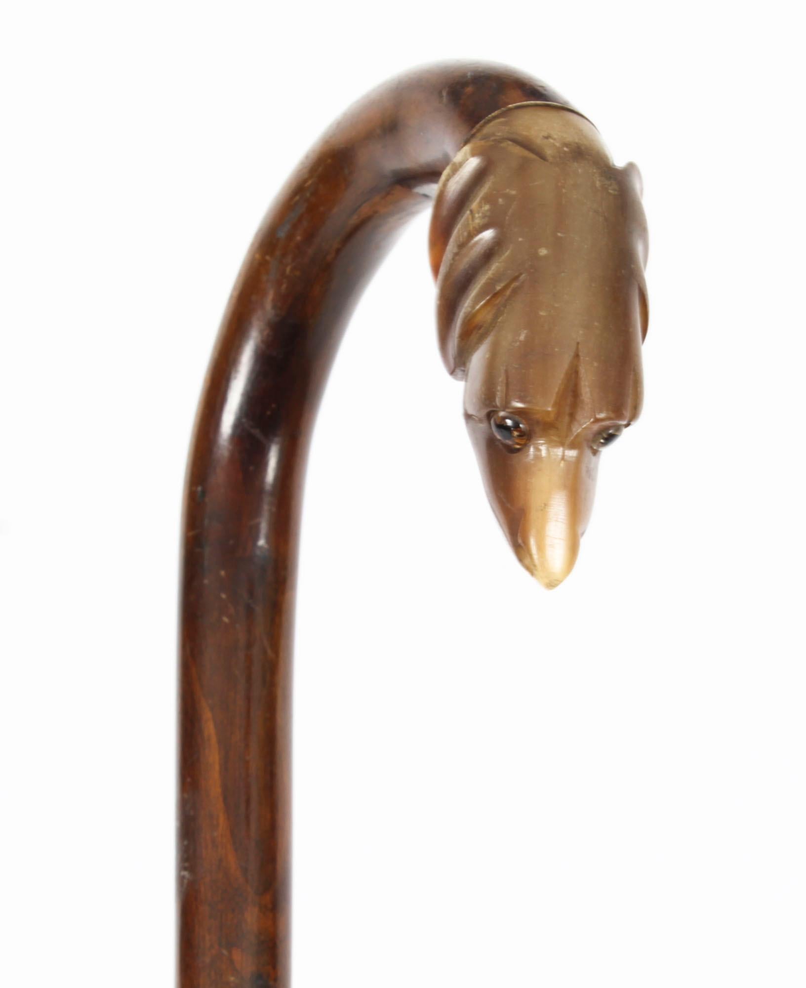 Wood Antique Walking Stick Cane with Horn Dog Handle, Late 19th Century