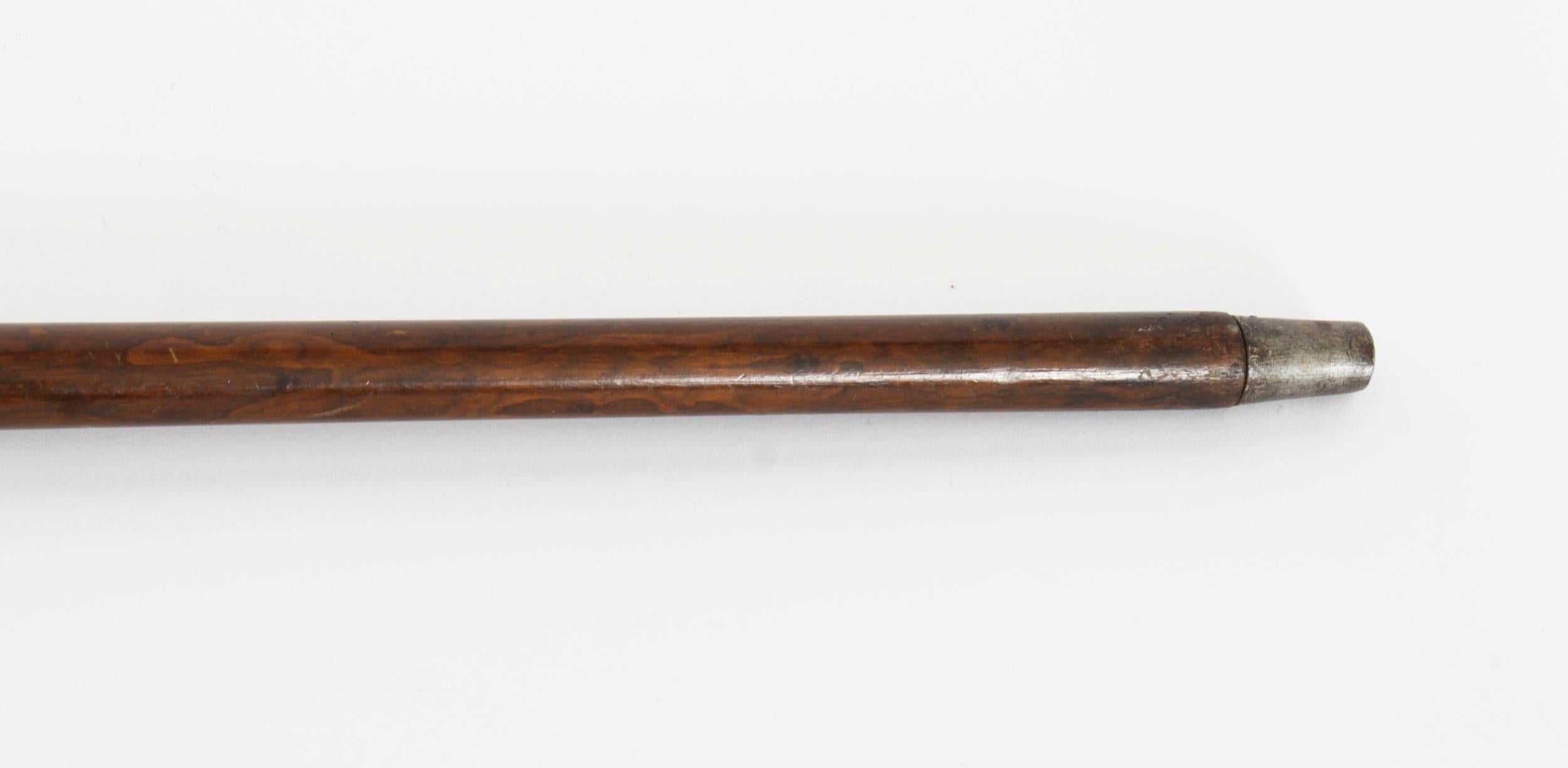 Antique Walking Stick Cane with Horn Dog Handle, Late 19th Century 2