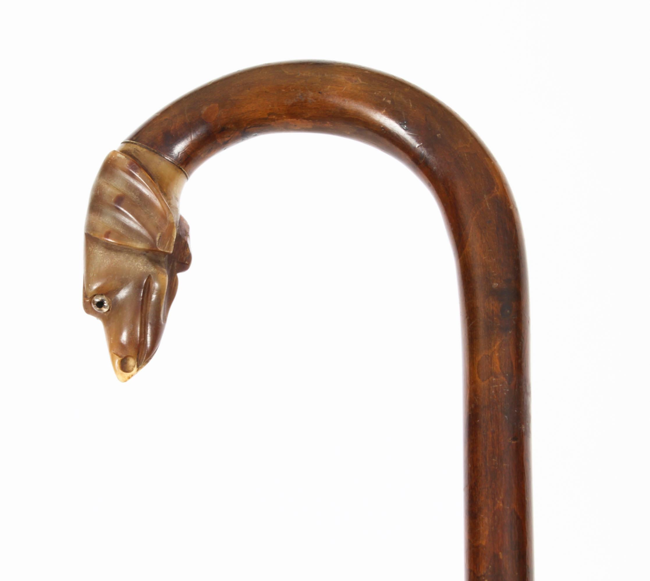 Antique Walking Stick Cane with Horn Dog Handle, Late 19th Century 3