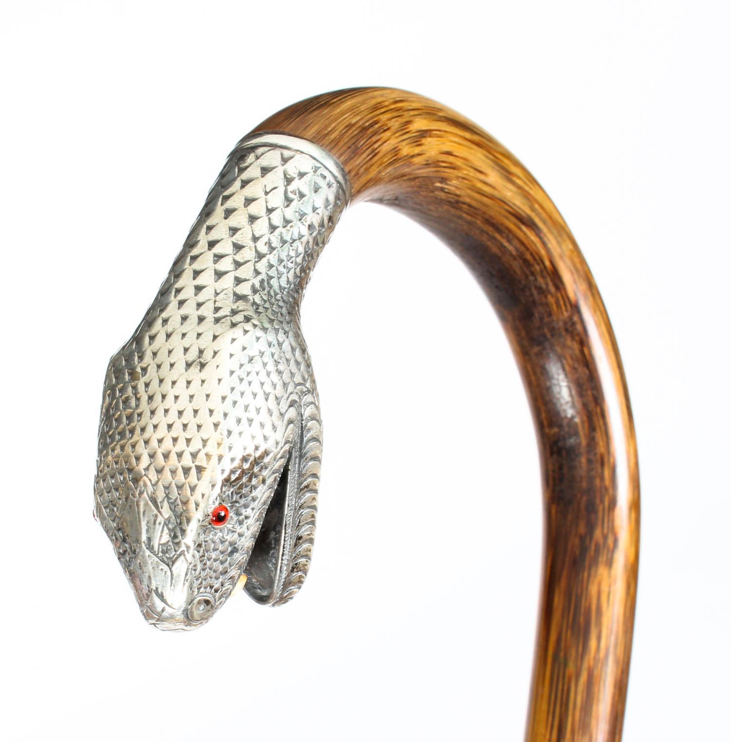 Antique Walking Stick Cane with Silver Snake's Head, 19th Century In Good Condition In London, GB
