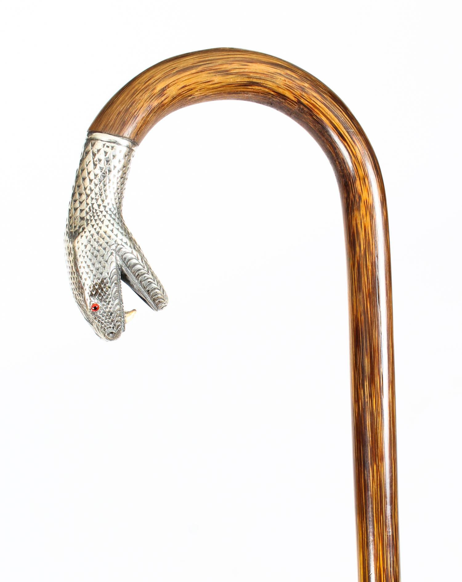 Antique Walking Stick Cane with Silver Snake's Head, 19th Century 1