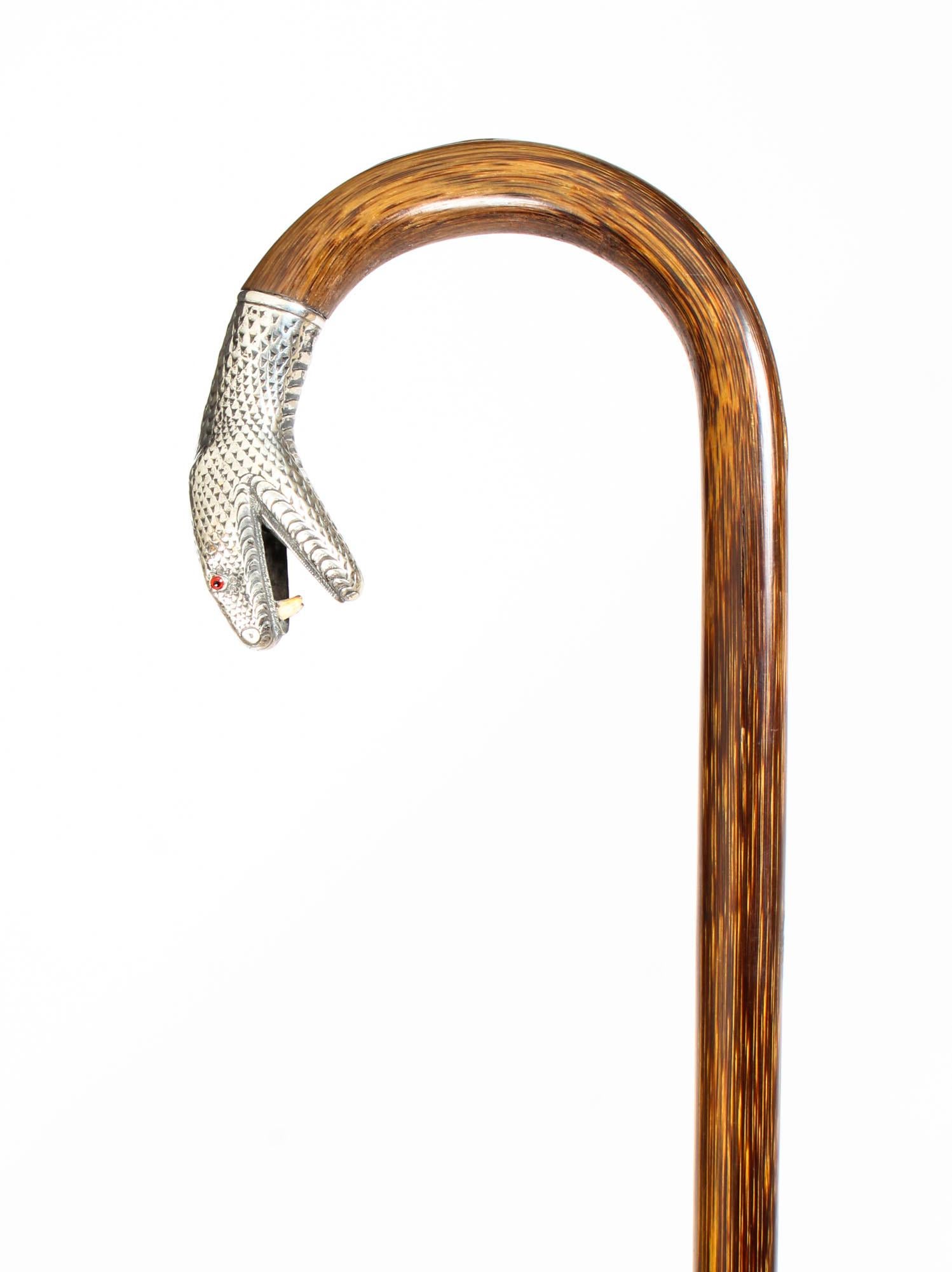 Antique Walking Stick Cane with Silver Snake's Head, 19th Century 2