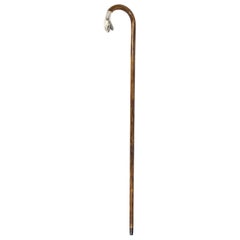 Antique Walking Stick Cane with Silver Snake's Head, 19th Century