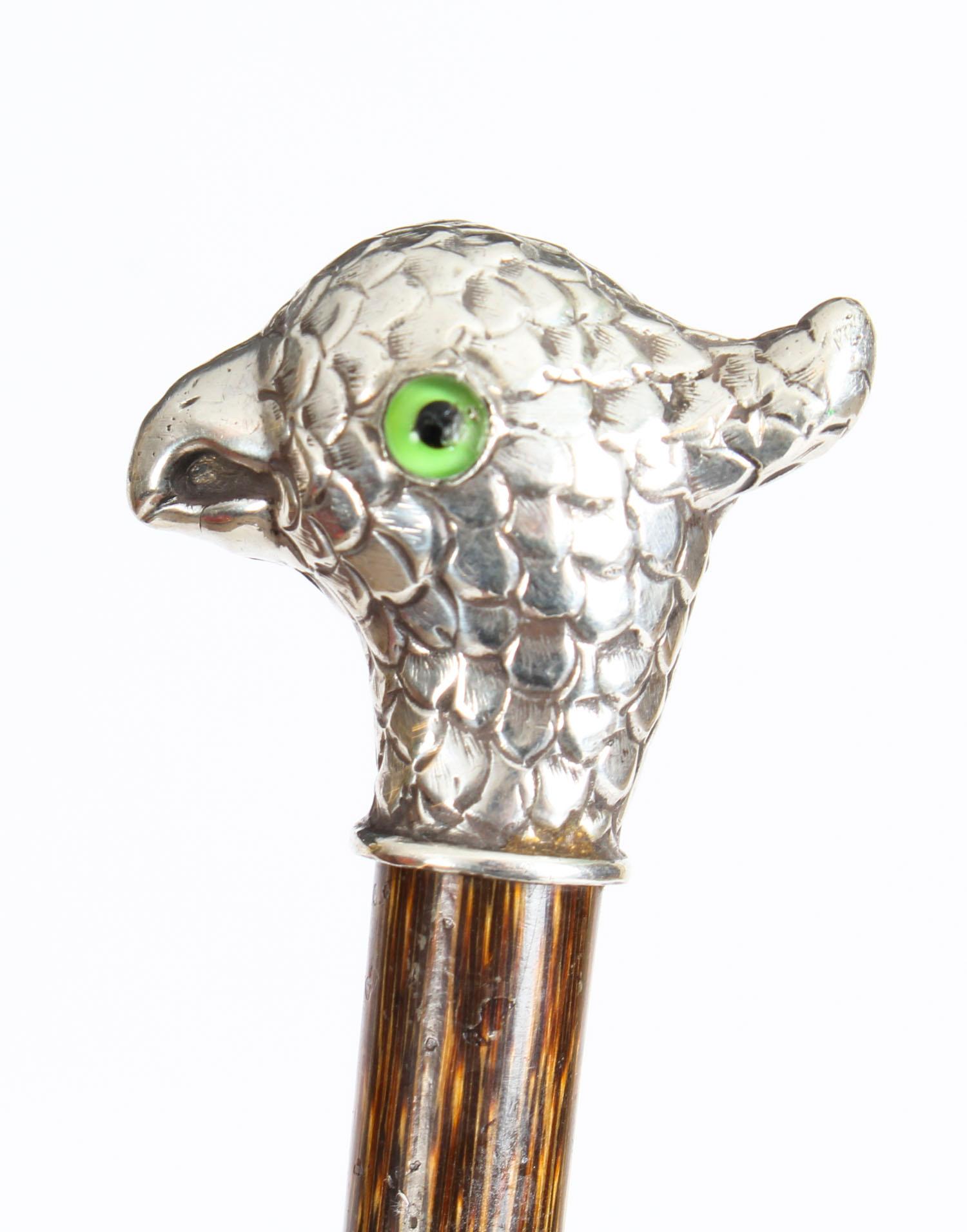 French Antique Walking Stick Cane with Sterling Silver Parakeet Pommel