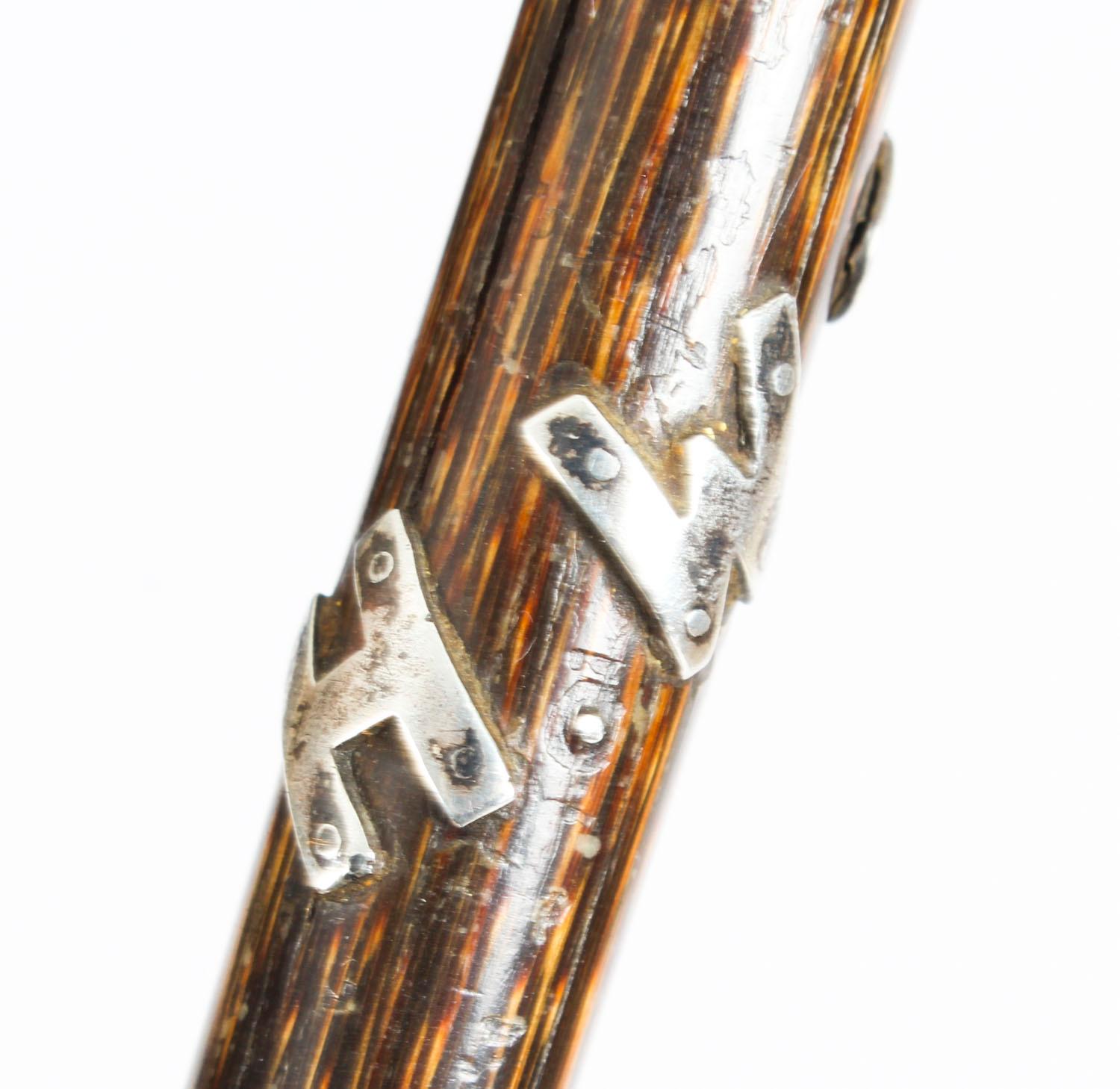 Wood Antique Walking Stick Cane with Sterling Silver Parakeet Pommel