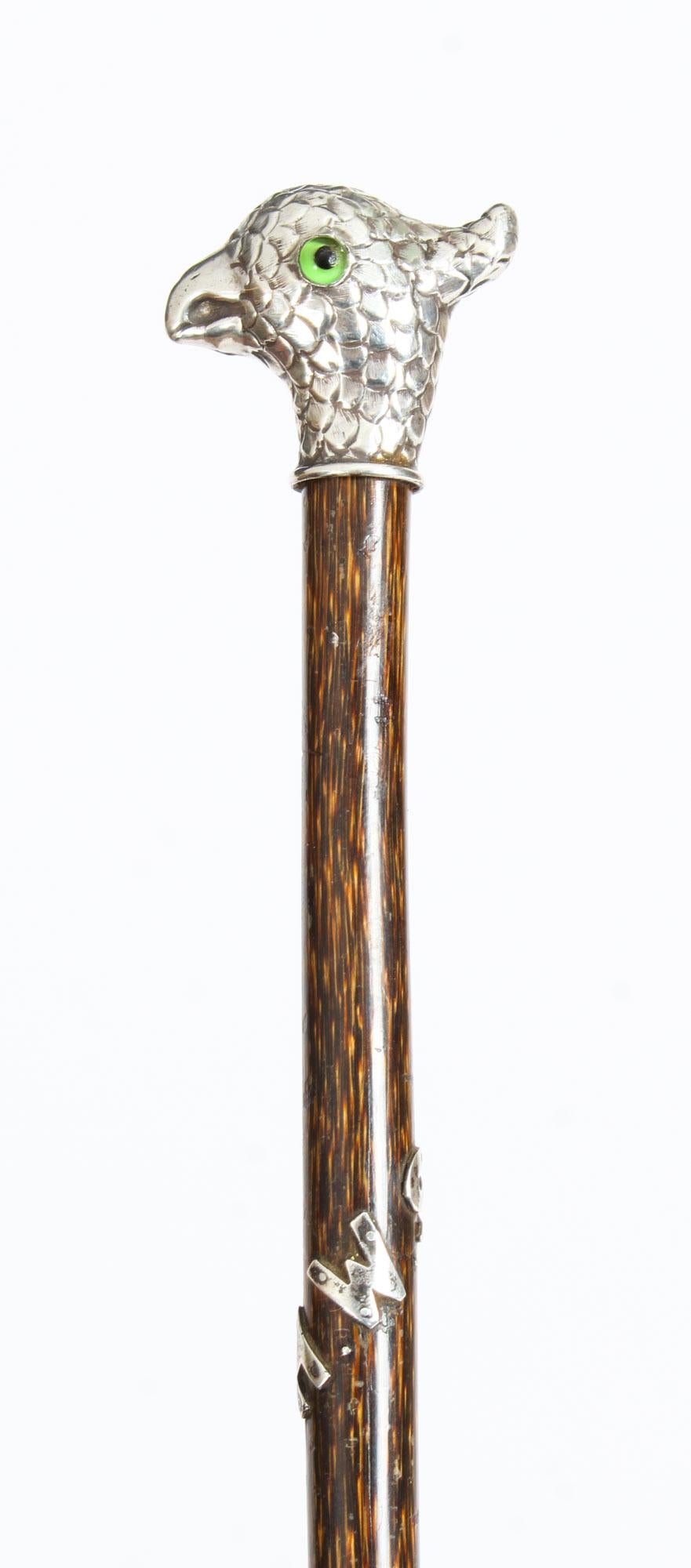 Antique Walking Stick Cane with Sterling Silver Parakeet Pommel 3