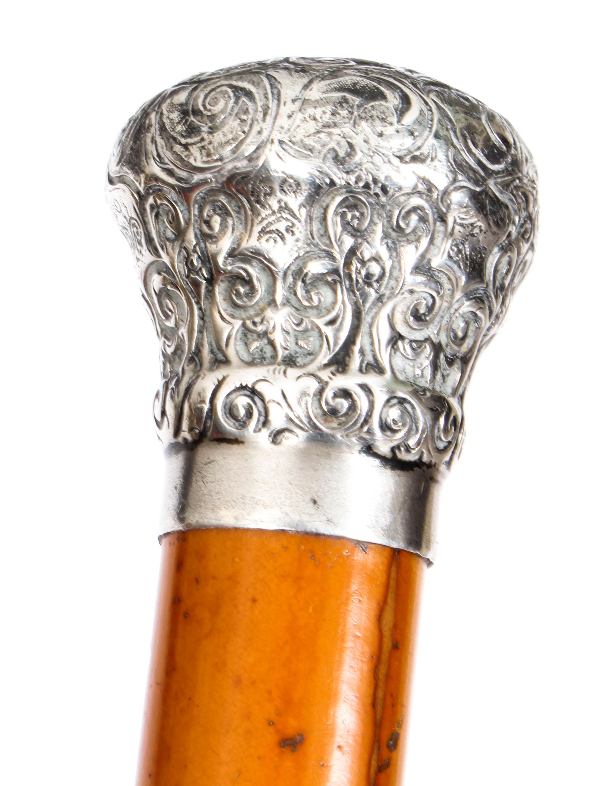 Late 19th Century Antique Walking Stick Cane with Sterling Silver Pommel and Band, 19th Century