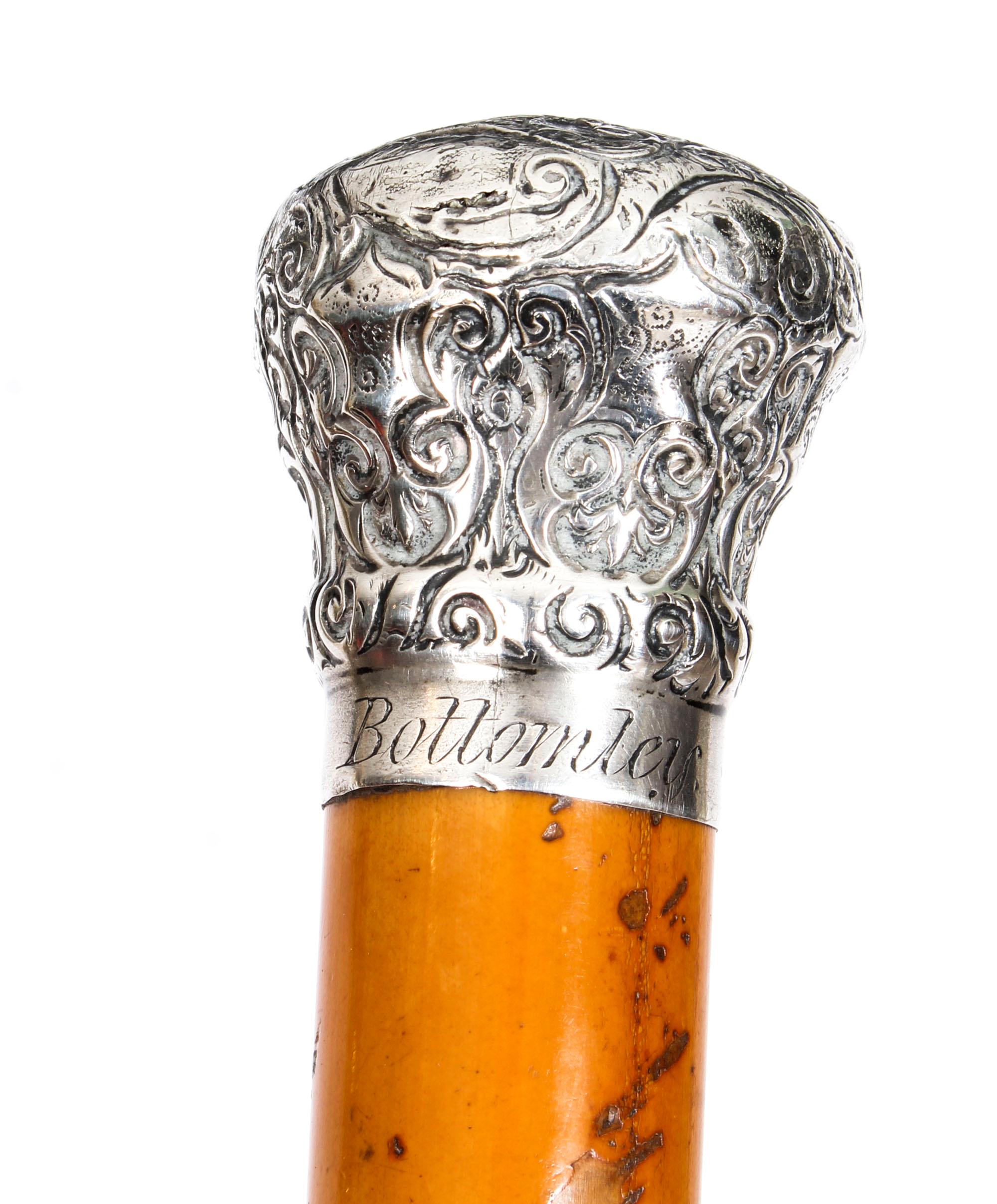 This is a superb continental sterling silver-mounted Malacca walking stick, circa 1880 in date. 

This decorative walking cane features a splendid globular sterling silver pommel which is cast with exquisitely detailed floral and foliate