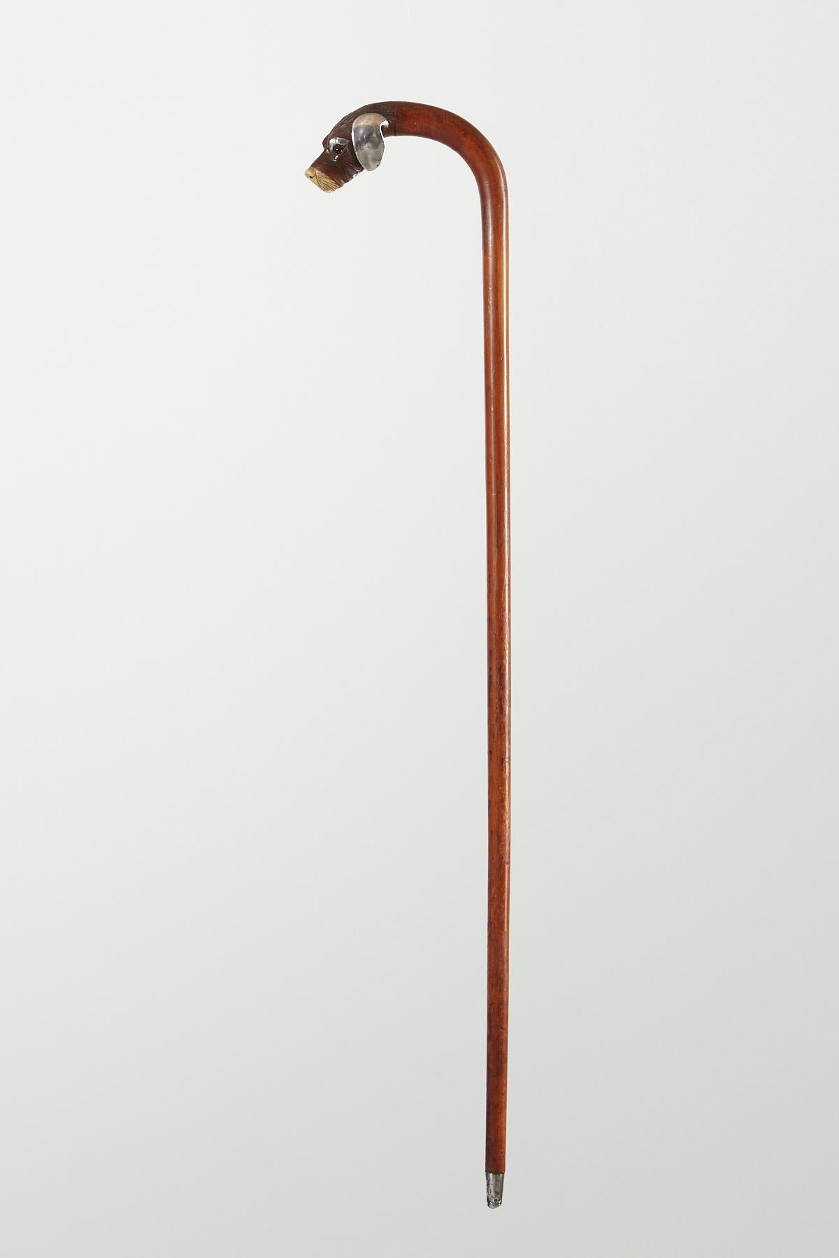  Presenting an antique walking stick with a carved dog head and silver detailing, hailing from France around 1900.

This unique walking stick is a rare find. The dog's head is intricately carved, featuring silver ears and eyebrows. 
Impressively,