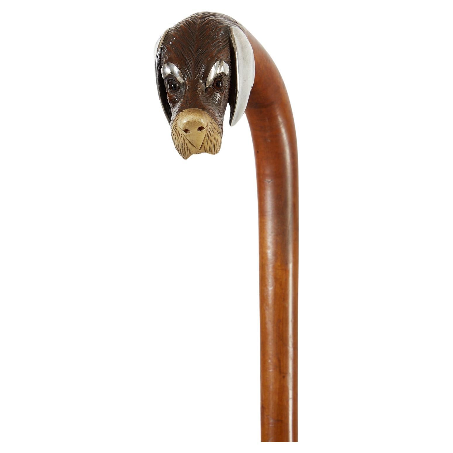 Antique Walking Stick Carved Head of Dog with Silver Detail France Circa 1900  For Sale