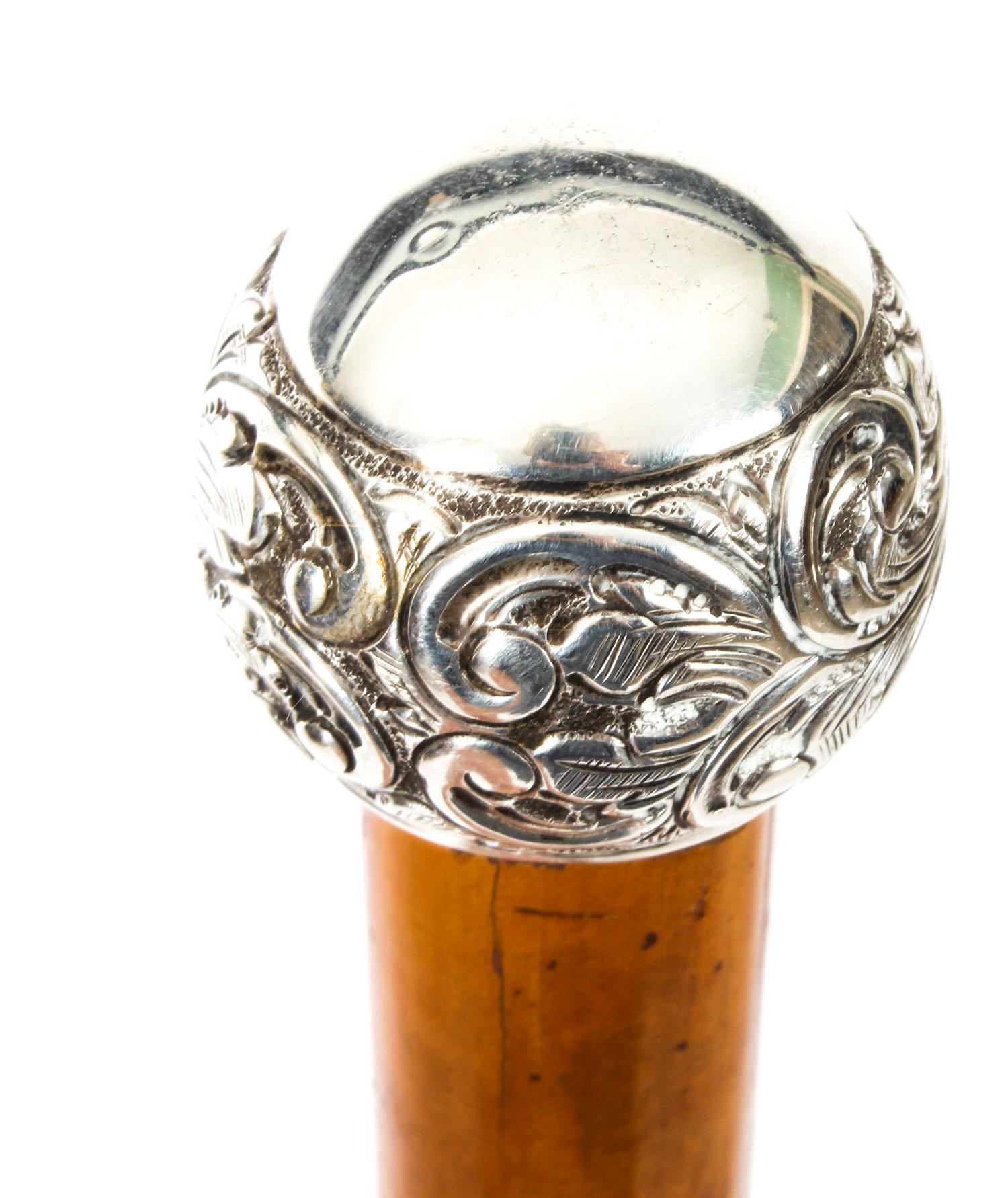 Antique Walking Stick Sword Stick Cane Silver Pommel, 19th Century 4