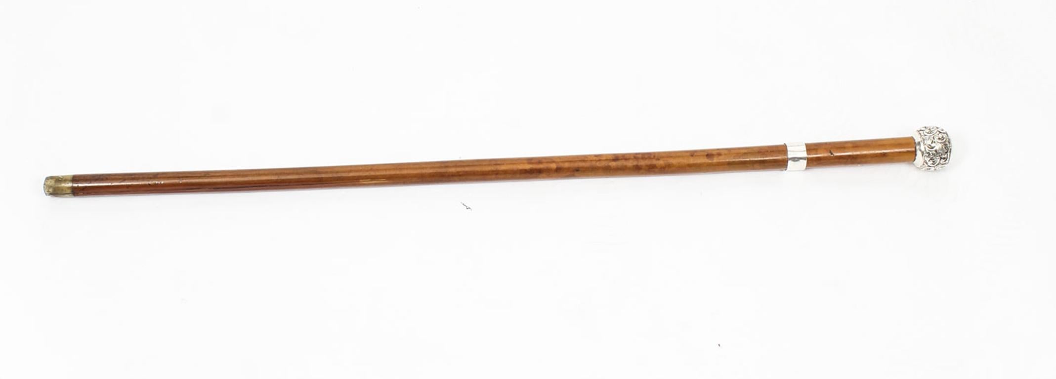 Antique Walking Stick Sword Stick Cane Silver Pommel, 19th Century 6