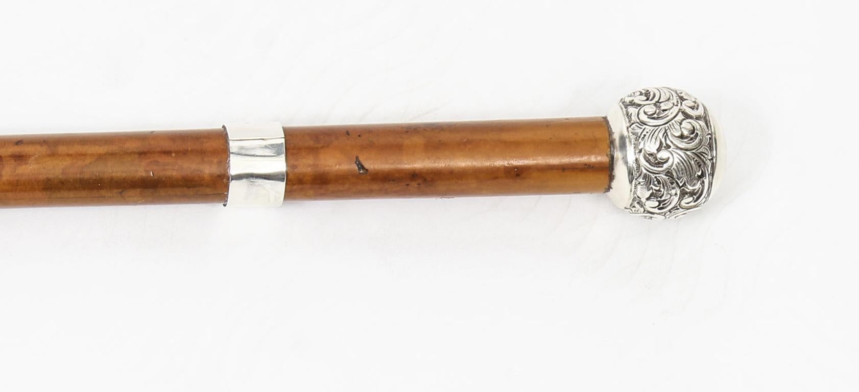 Antique Walking Stick Sword Stick Cane Silver Pommel, 19th Century 7