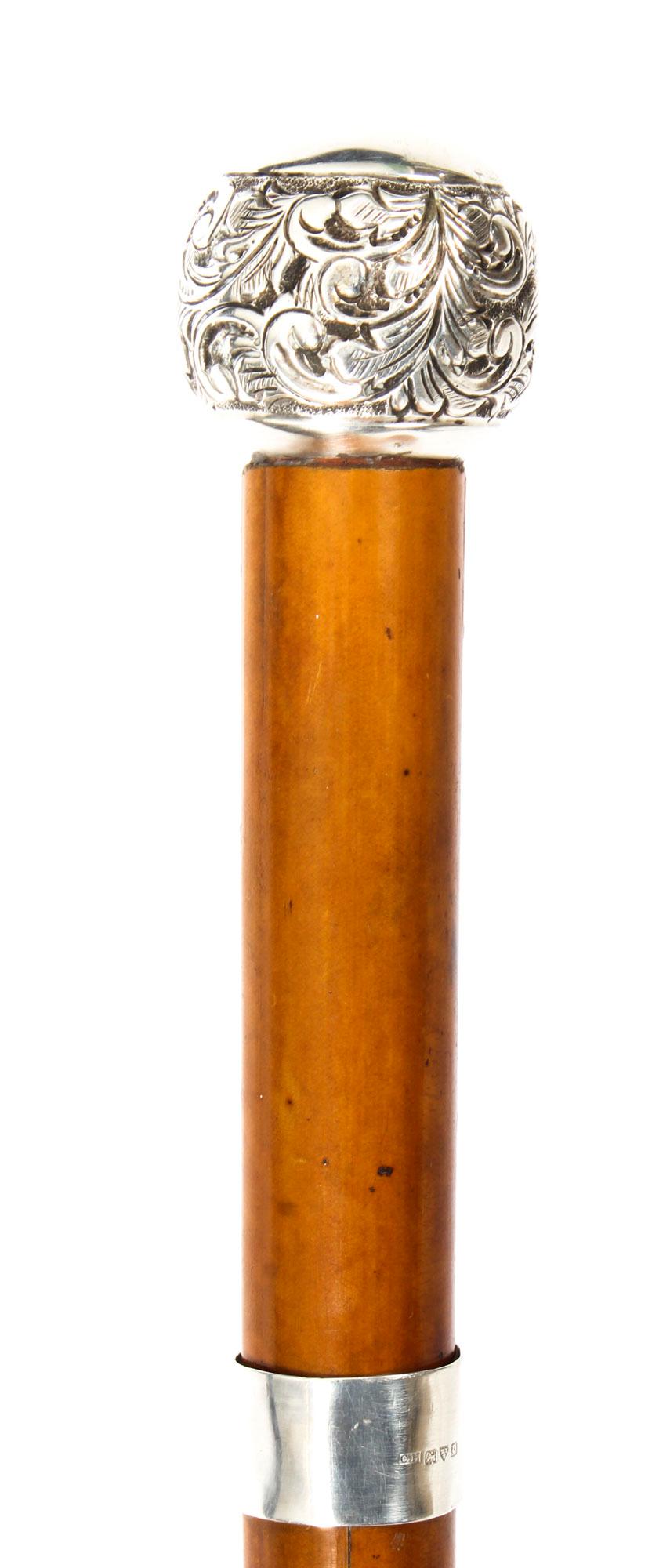 Antique Walking Stick Sword Stick Cane Silver Pommel, 19th Century 9